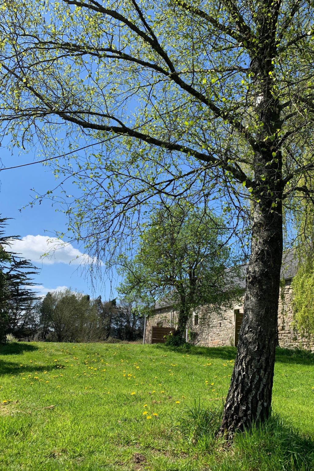 Gite - typisch bretonisches Bauernhaus mit Pool-Buiten