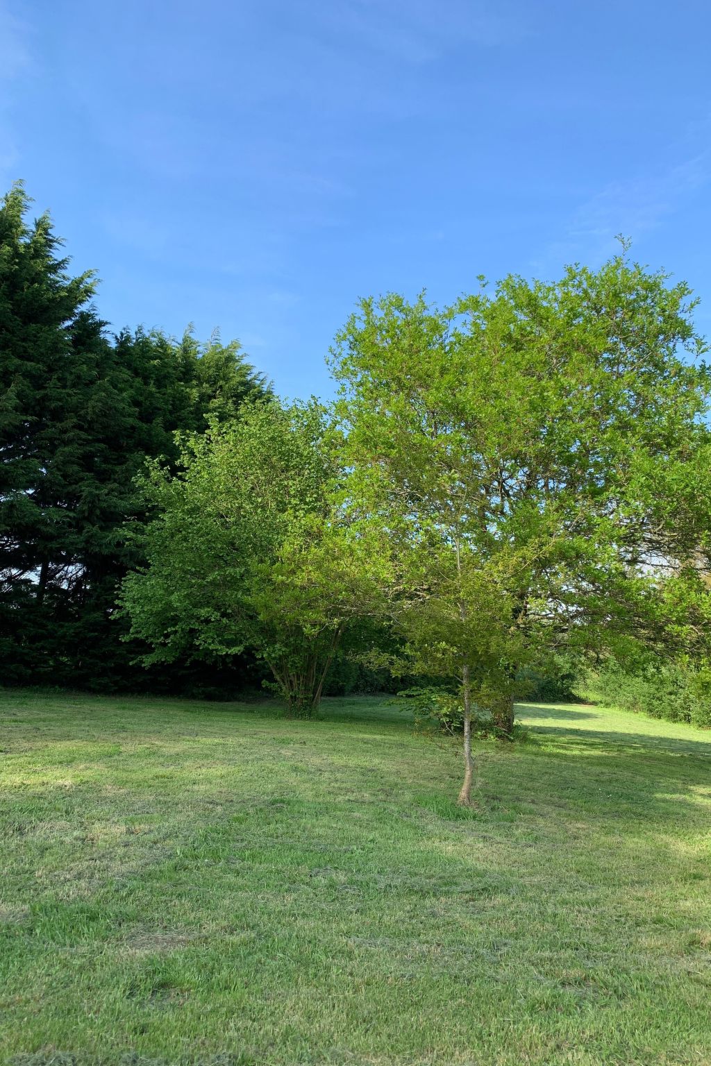 Gite - typisch bretonisches Bauernhaus mit Pool-Buiten