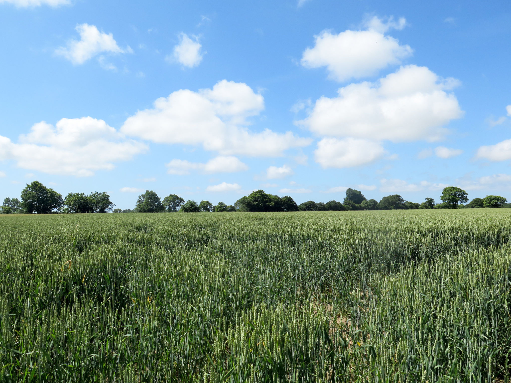 Gite - typisch bretonisches Bauernhaus mit Pool-Omgeving