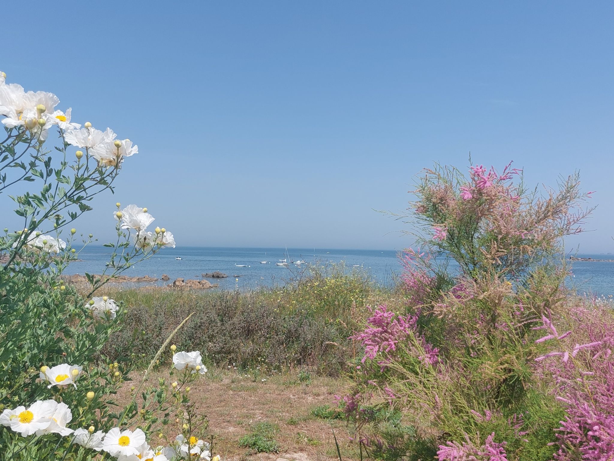 Le Sémaphore - Binnen