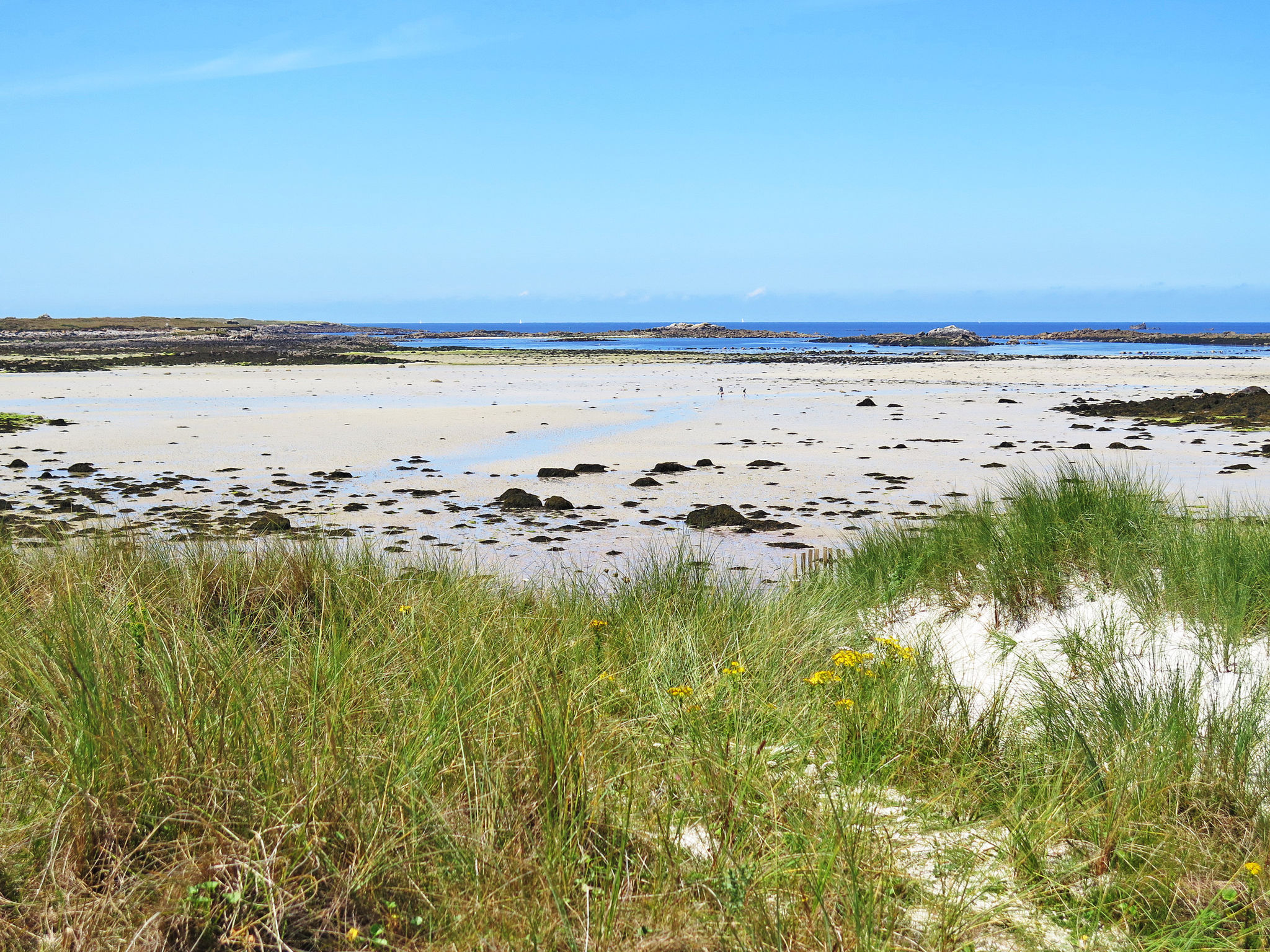 Entre Terre et Mer-Area