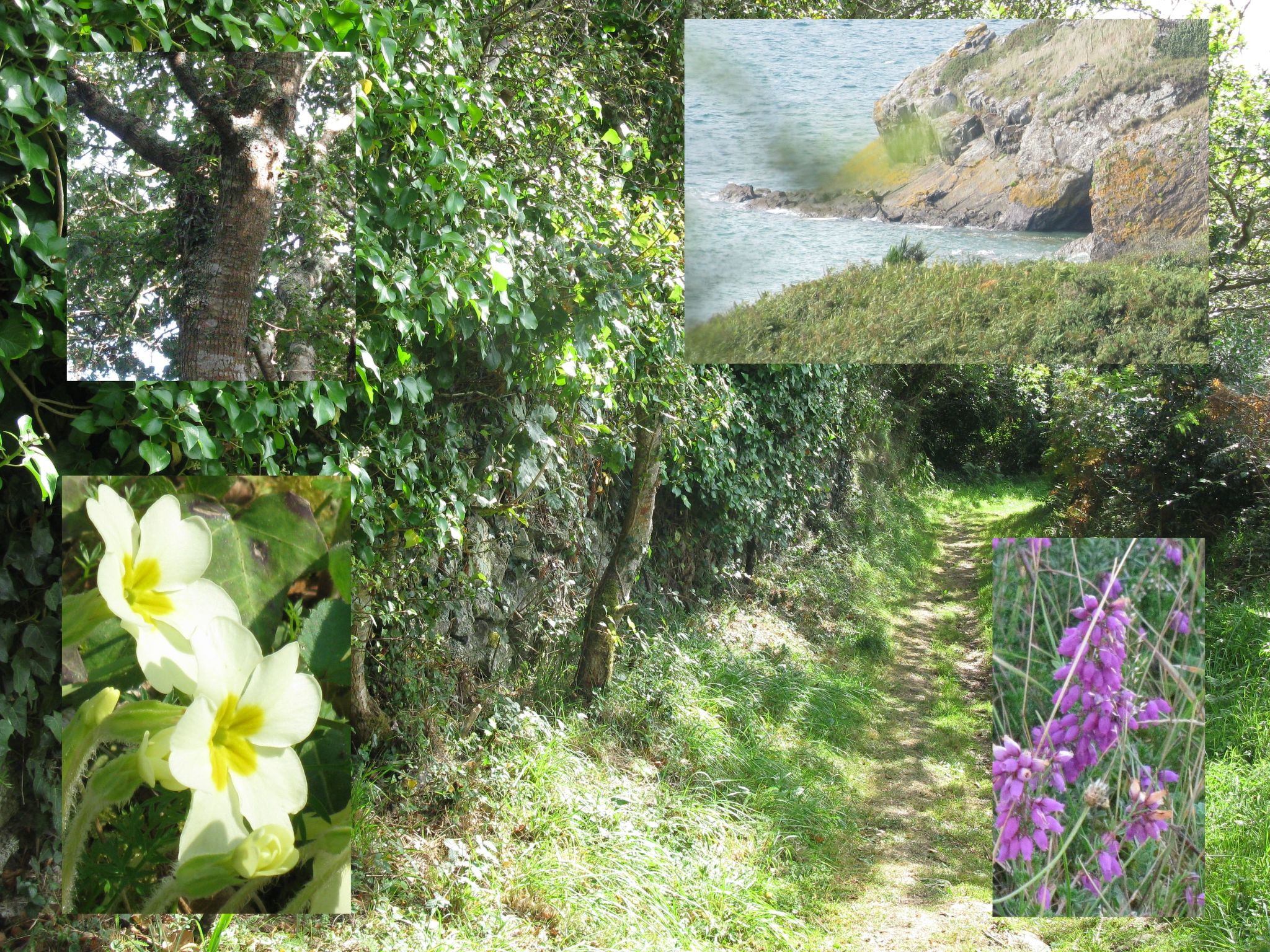 Haus auf der Halbinsel Plougastel