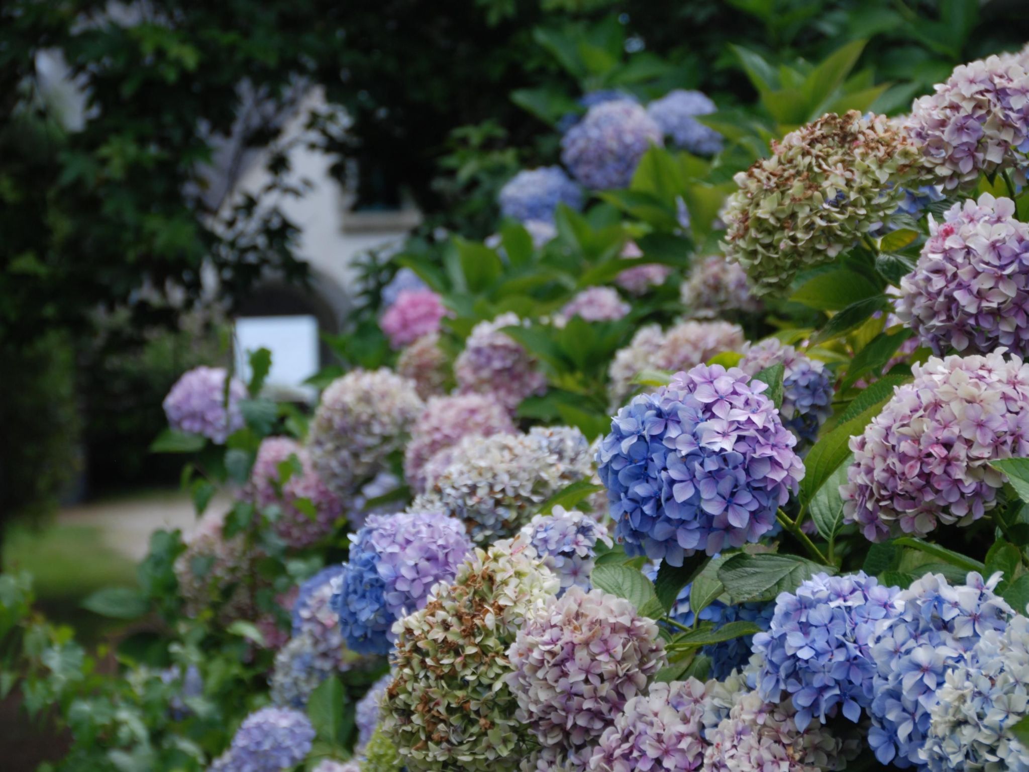 Villa mit großem Grundstück direkt am Mer-Inside
