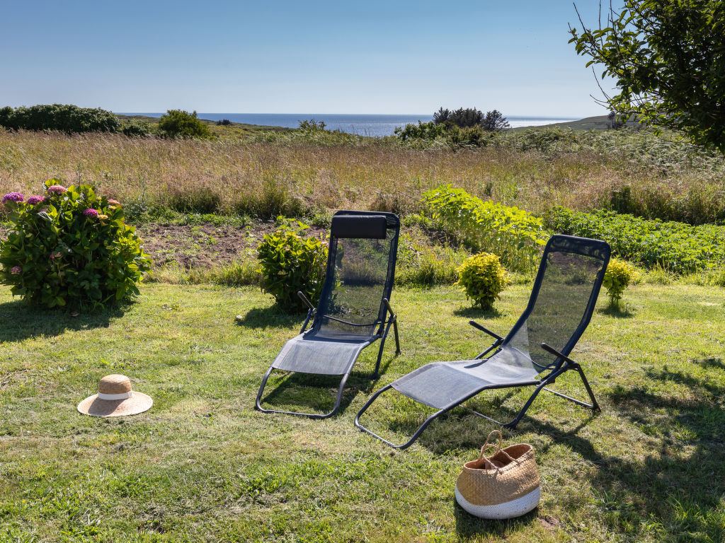 Les Hortensias (PGF100)