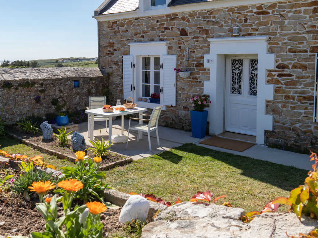 Les Hortensias (PGF100)