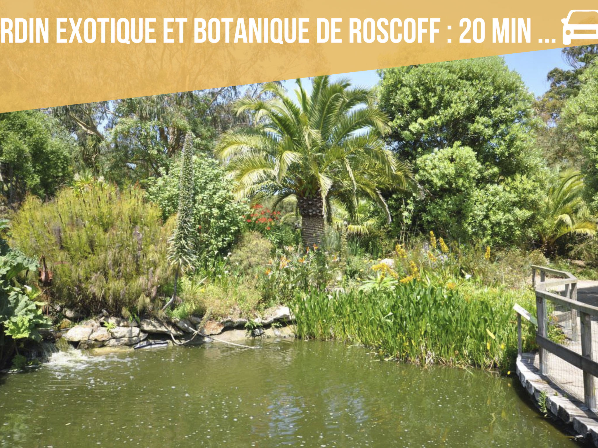 Das Dolmengebäude Clara-Dehors