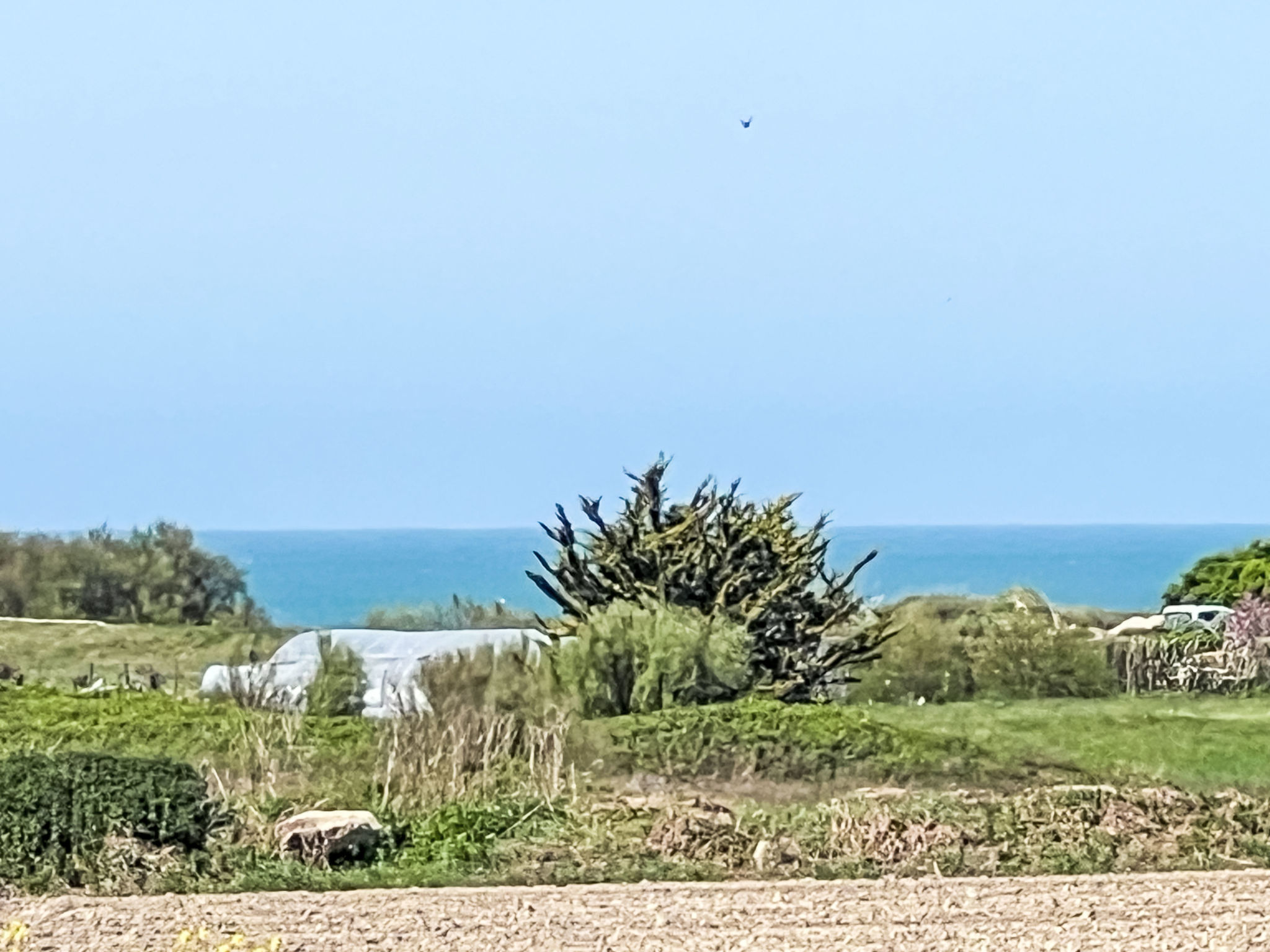 Photo of A Moi Forban