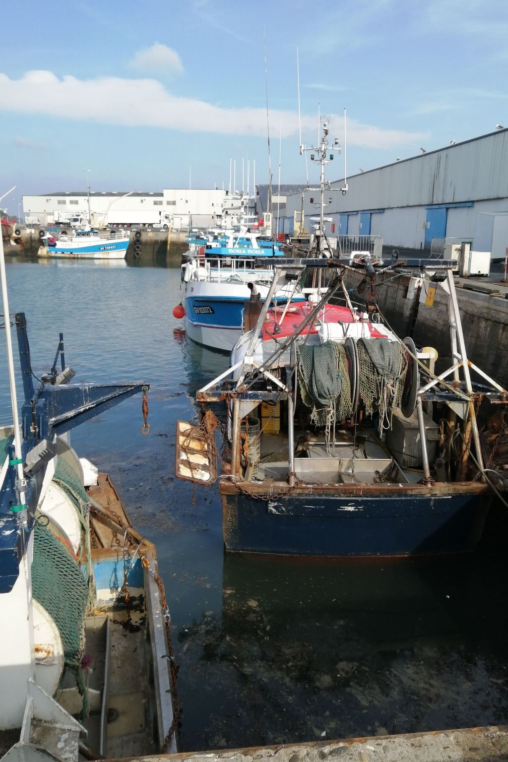 Bretagne Loctudy Haus Les Camélias 3 Personen-Binnen