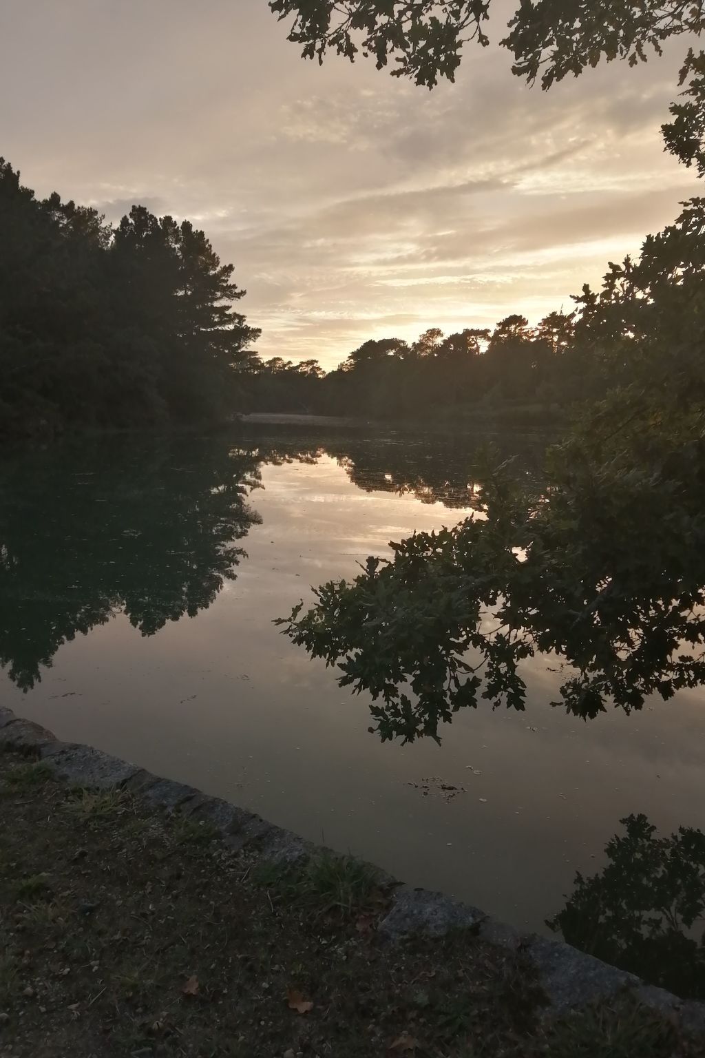 Bretagne Loctudy Haus Les Camélias 3 Personen-Binnen