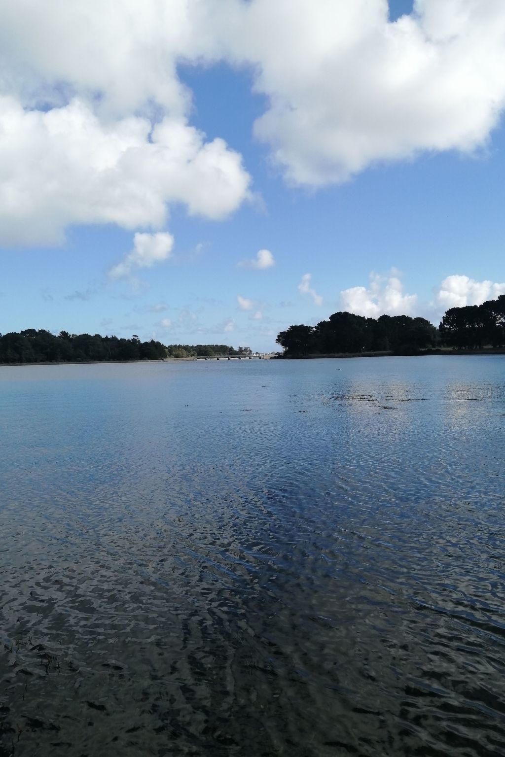 Bretagne Loctudy Haus Les Camélias 3 Personen-Binnen