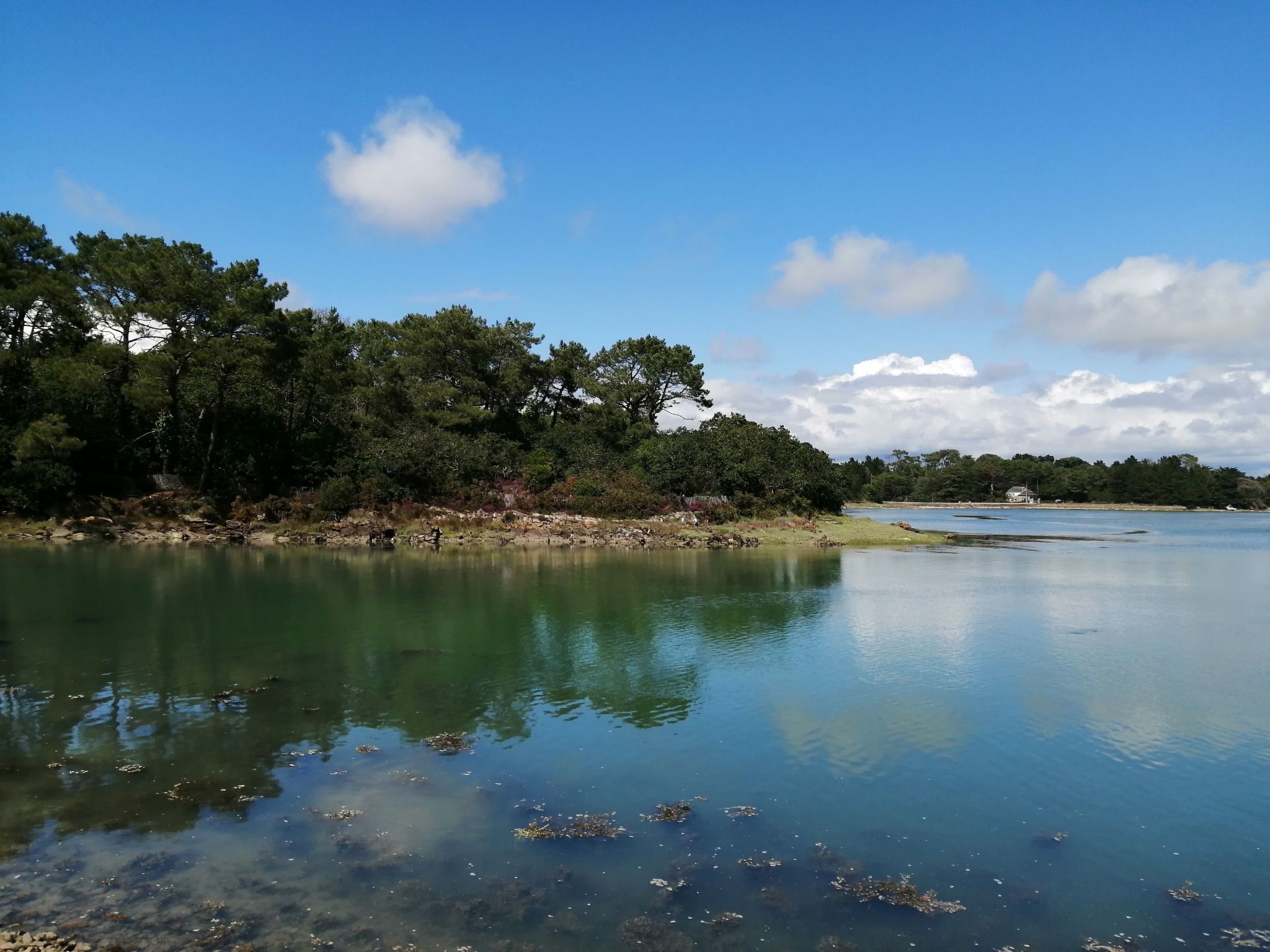 Bretagne Loctudy Haus Les Camélias 3 Personen-Binnen