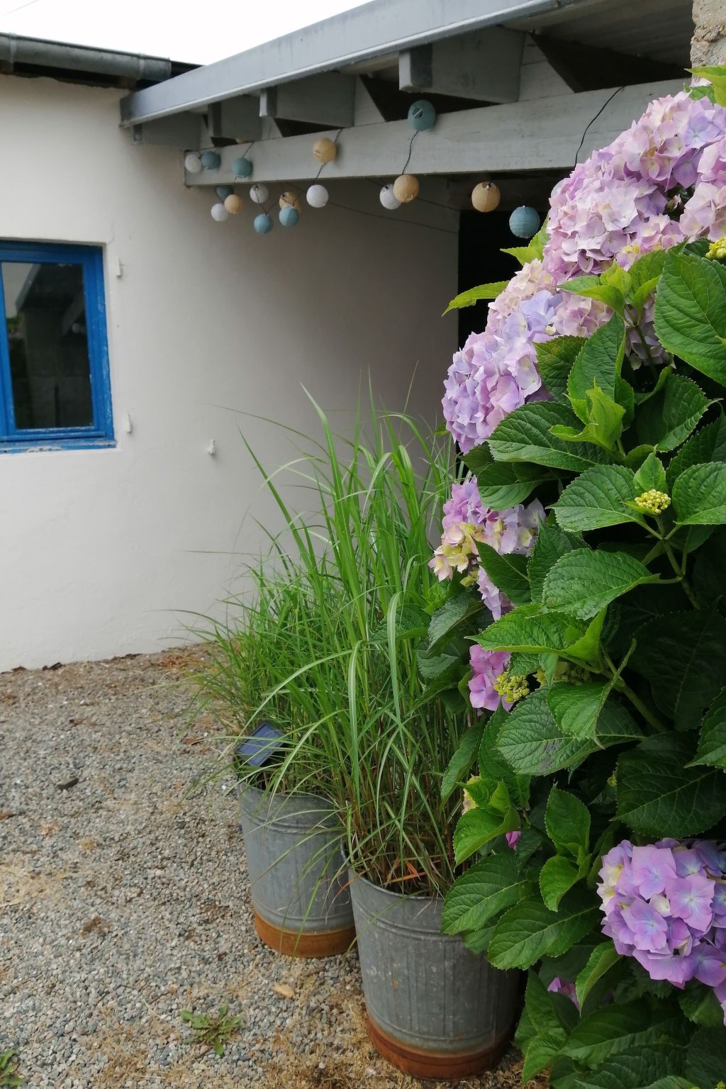 Bretagne Loctudy Haus Les Camélias 3 Personen-Binnen