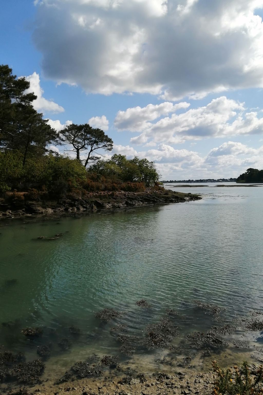 Bretagne Loctudy Haus Les Camélias 3 Personen-Binnen