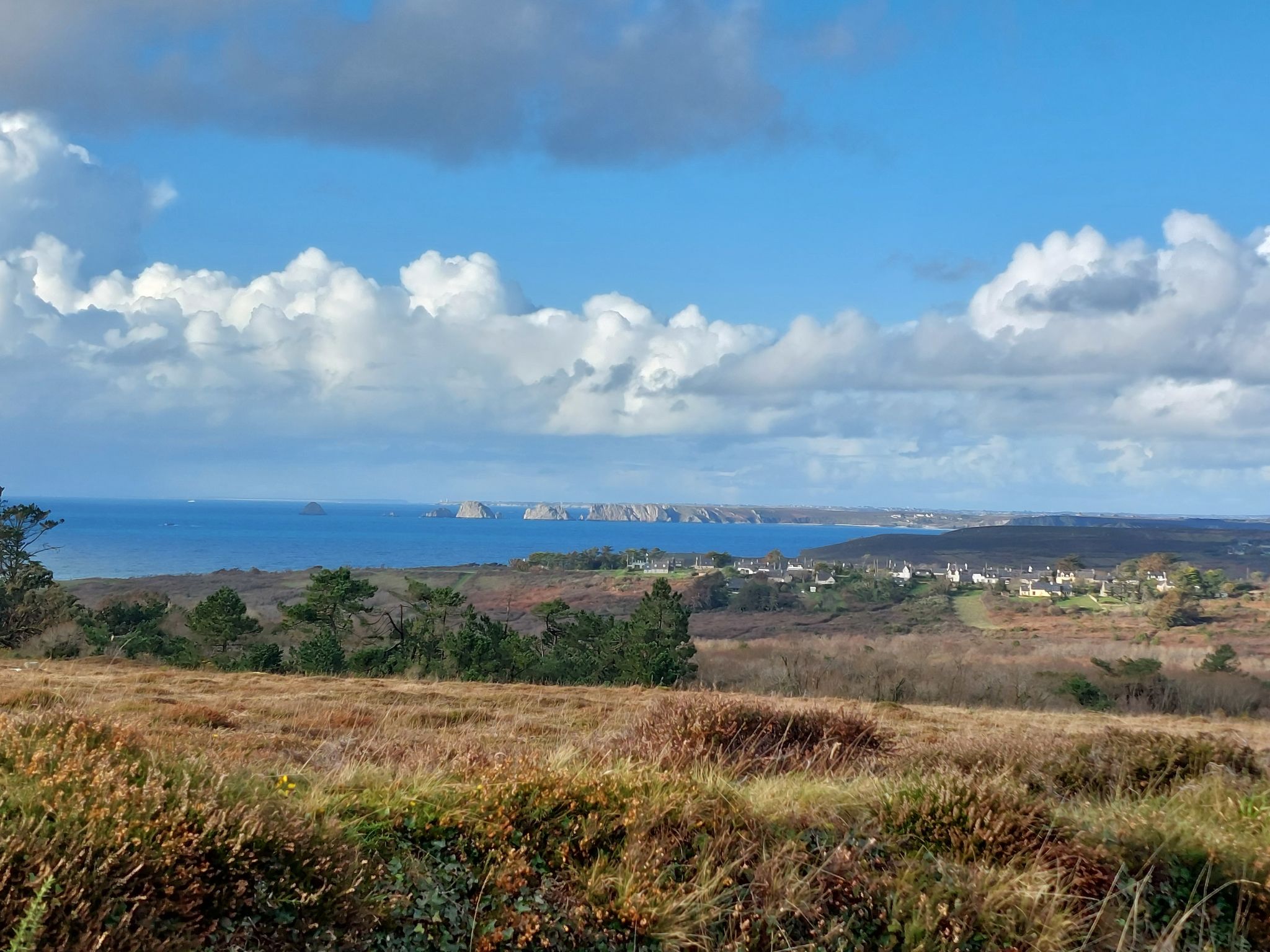 Photo of maison bleue
