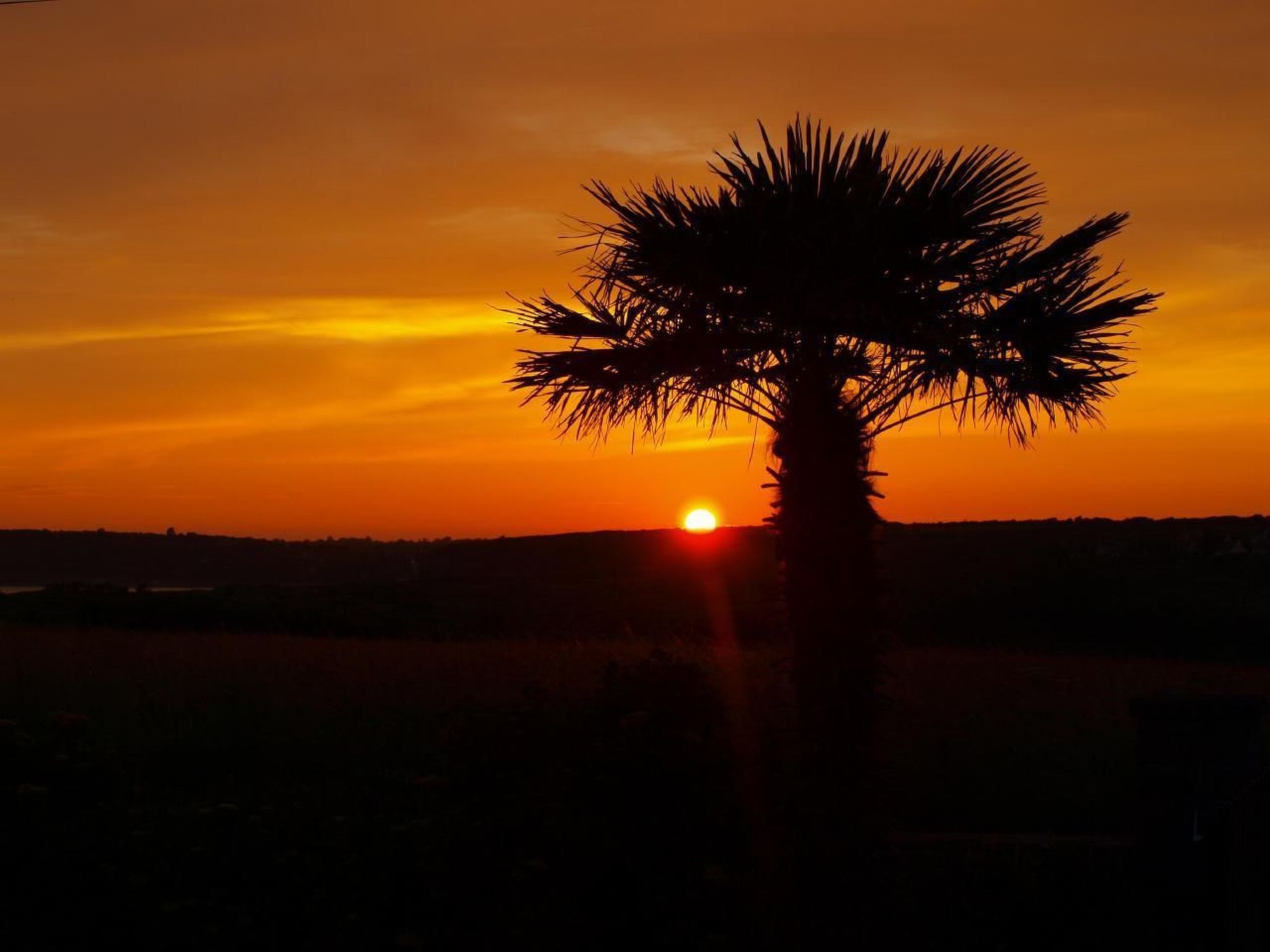 Ker Berhed-Image-tags.info