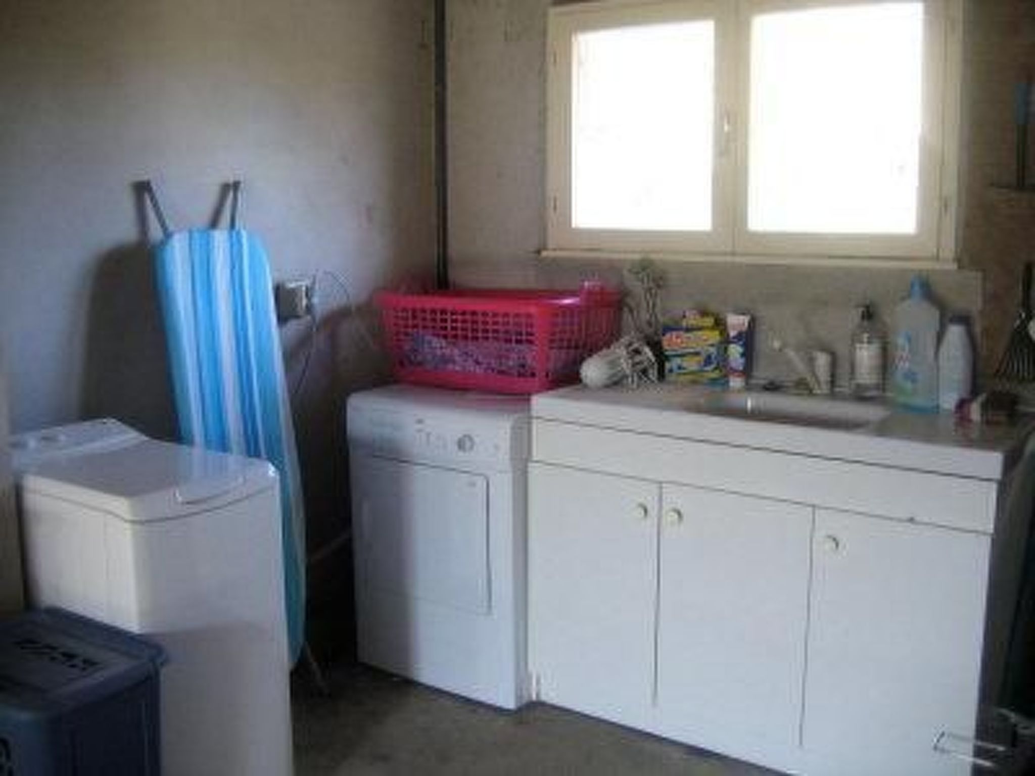 Photo of "Les Hortensias" (Die Hortensien)