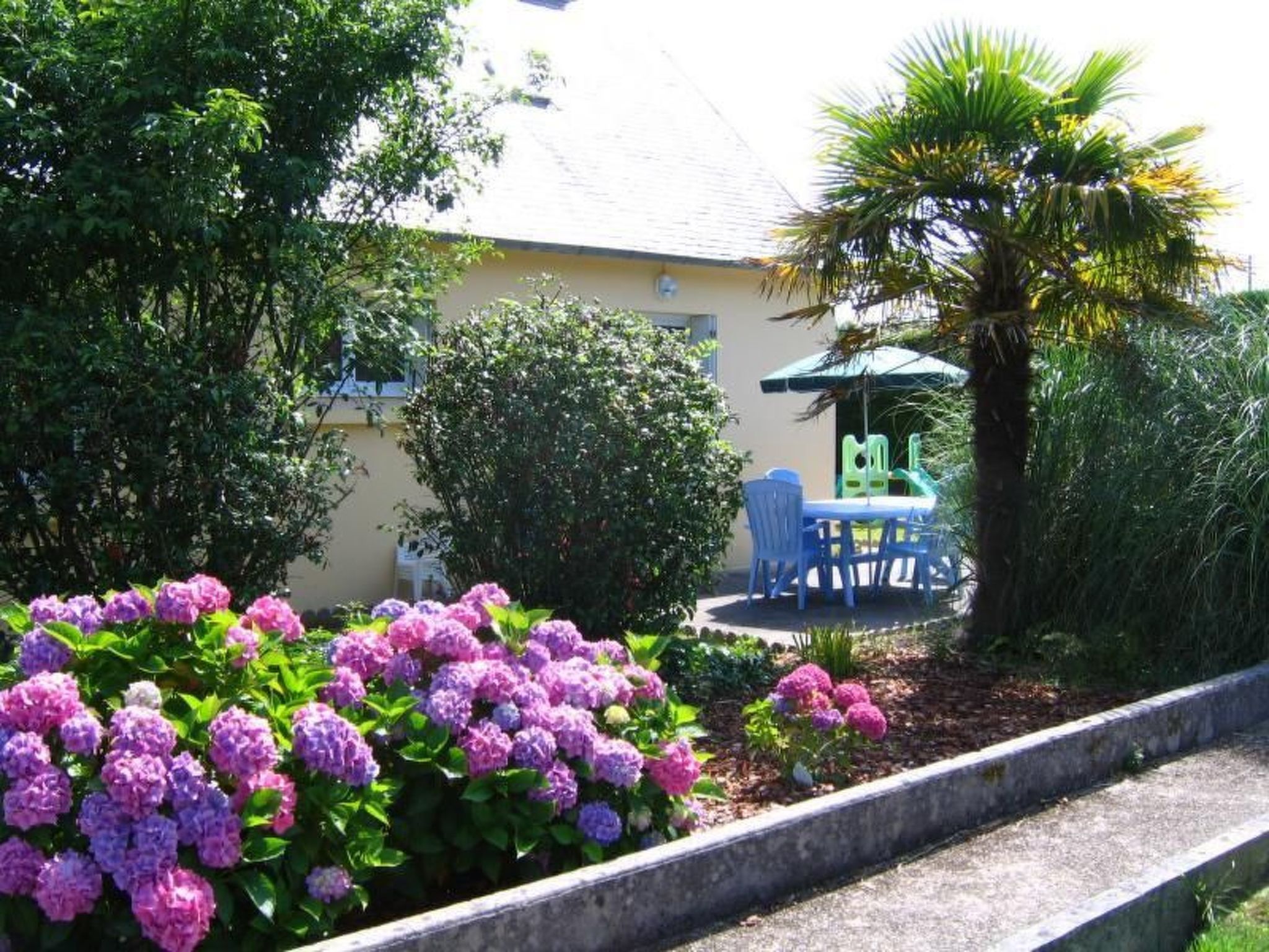 Photo of "Les Hortensias" (Die Hortensien)