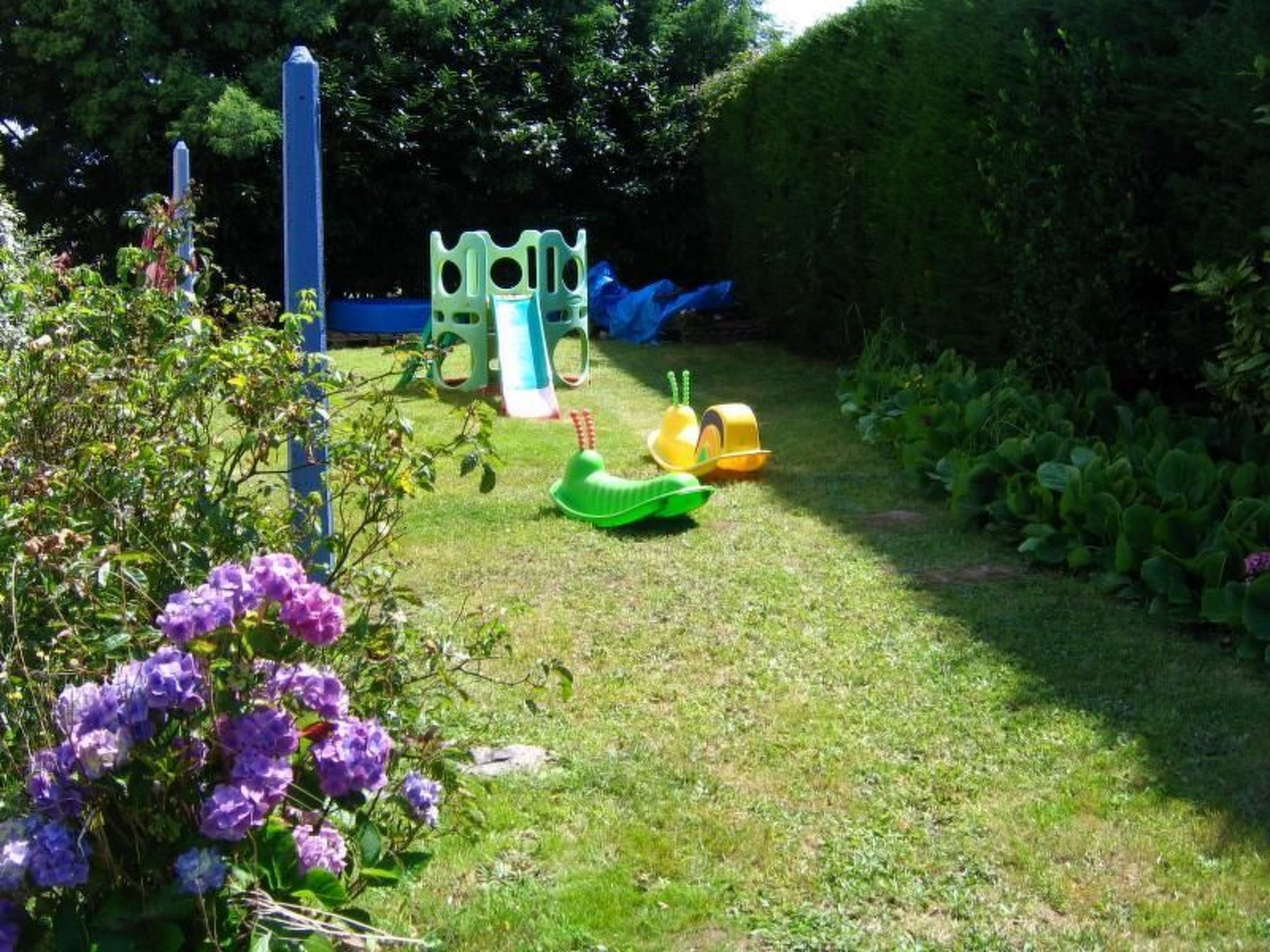 Photo of "Les Hortensias" (Die Hortensien)