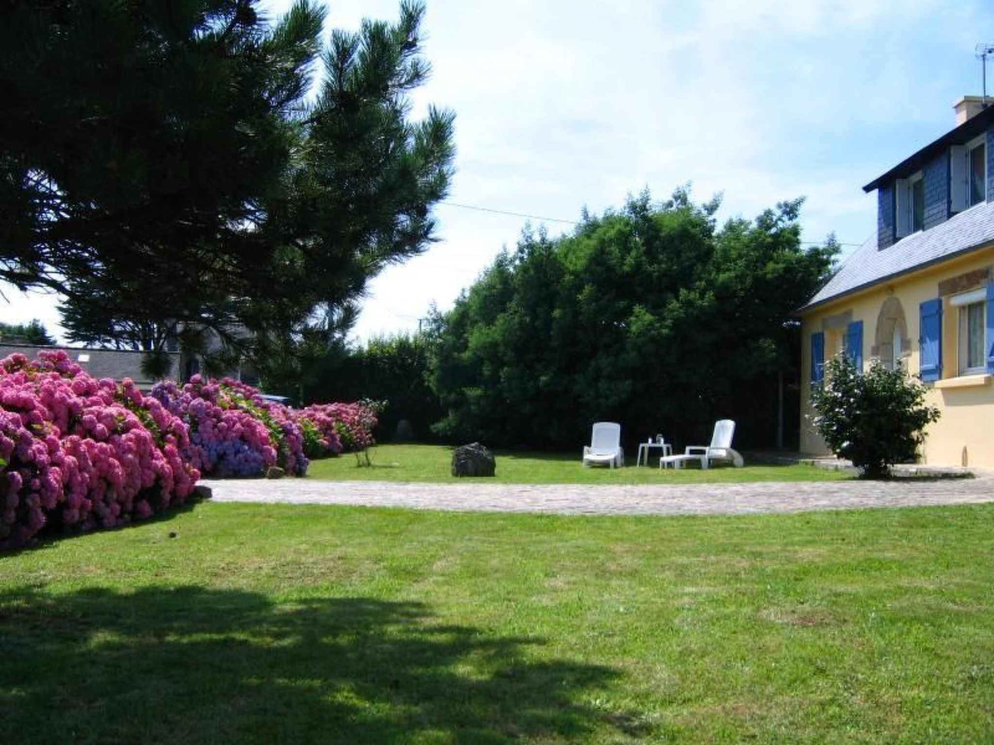 Photo of "Les Hortensias" (Die Hortensien)