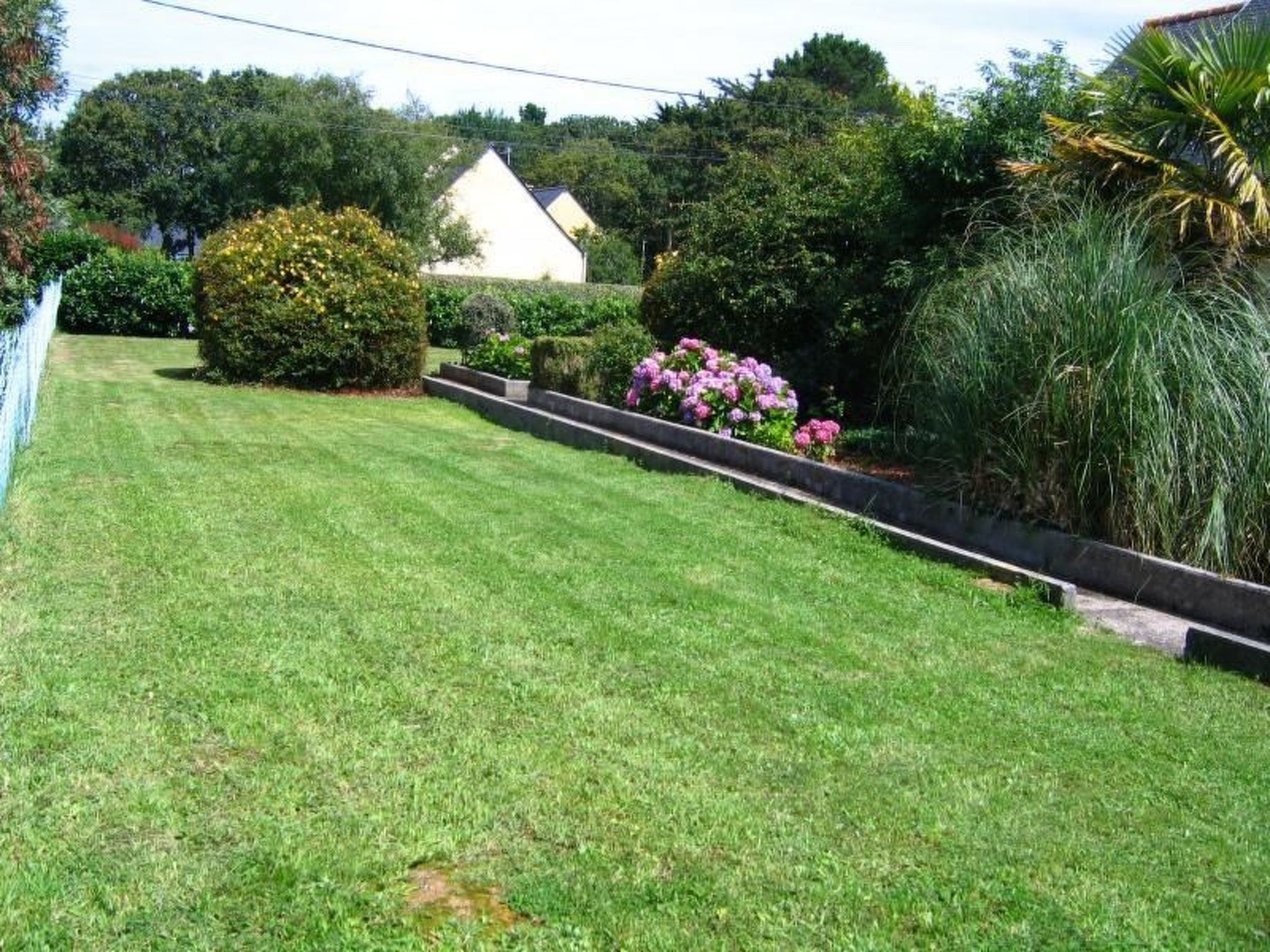 Photo of "Les Hortensias" (Die Hortensien)