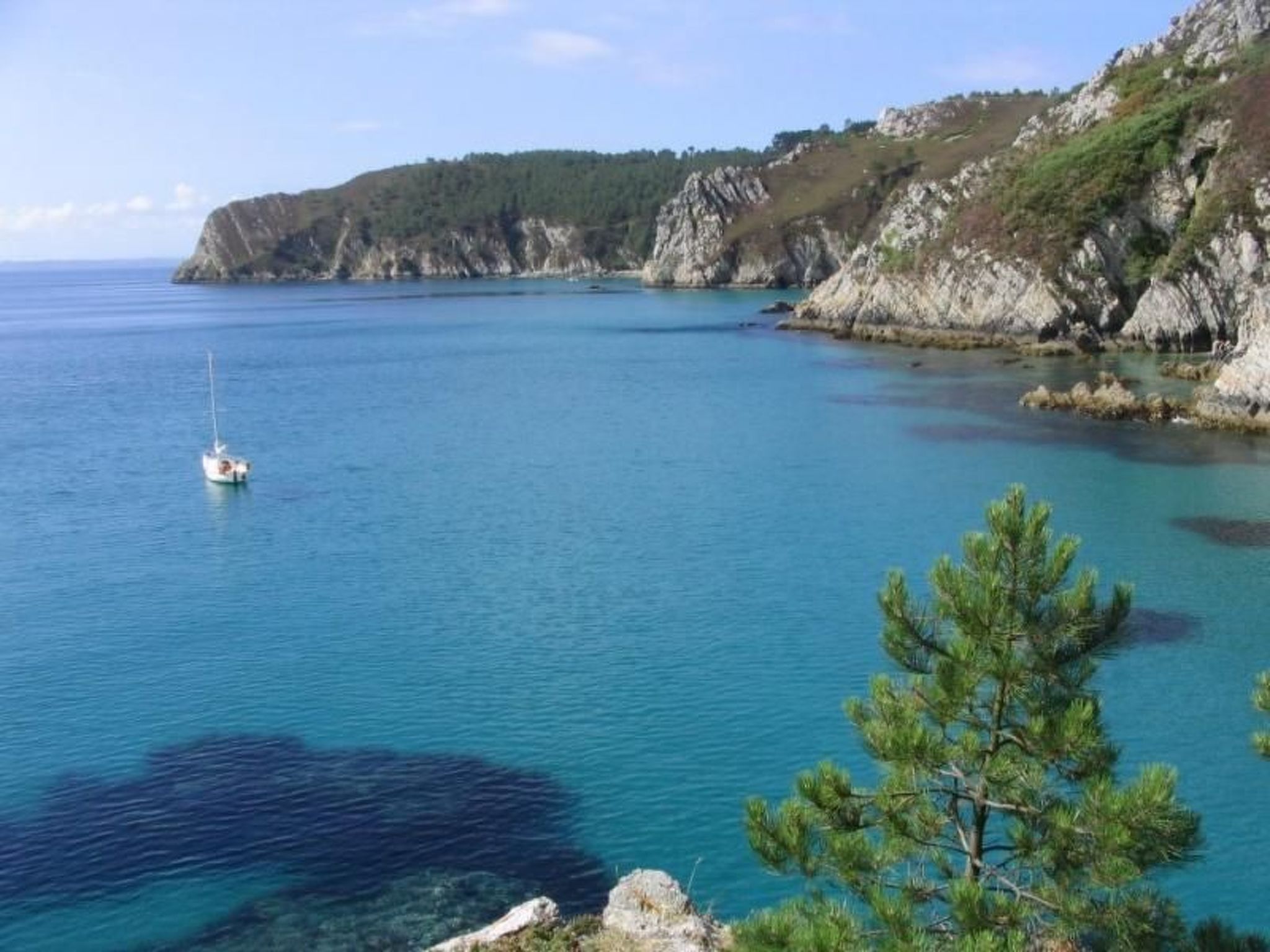 Photo of "Les Hortensias" (Die Hortensien)