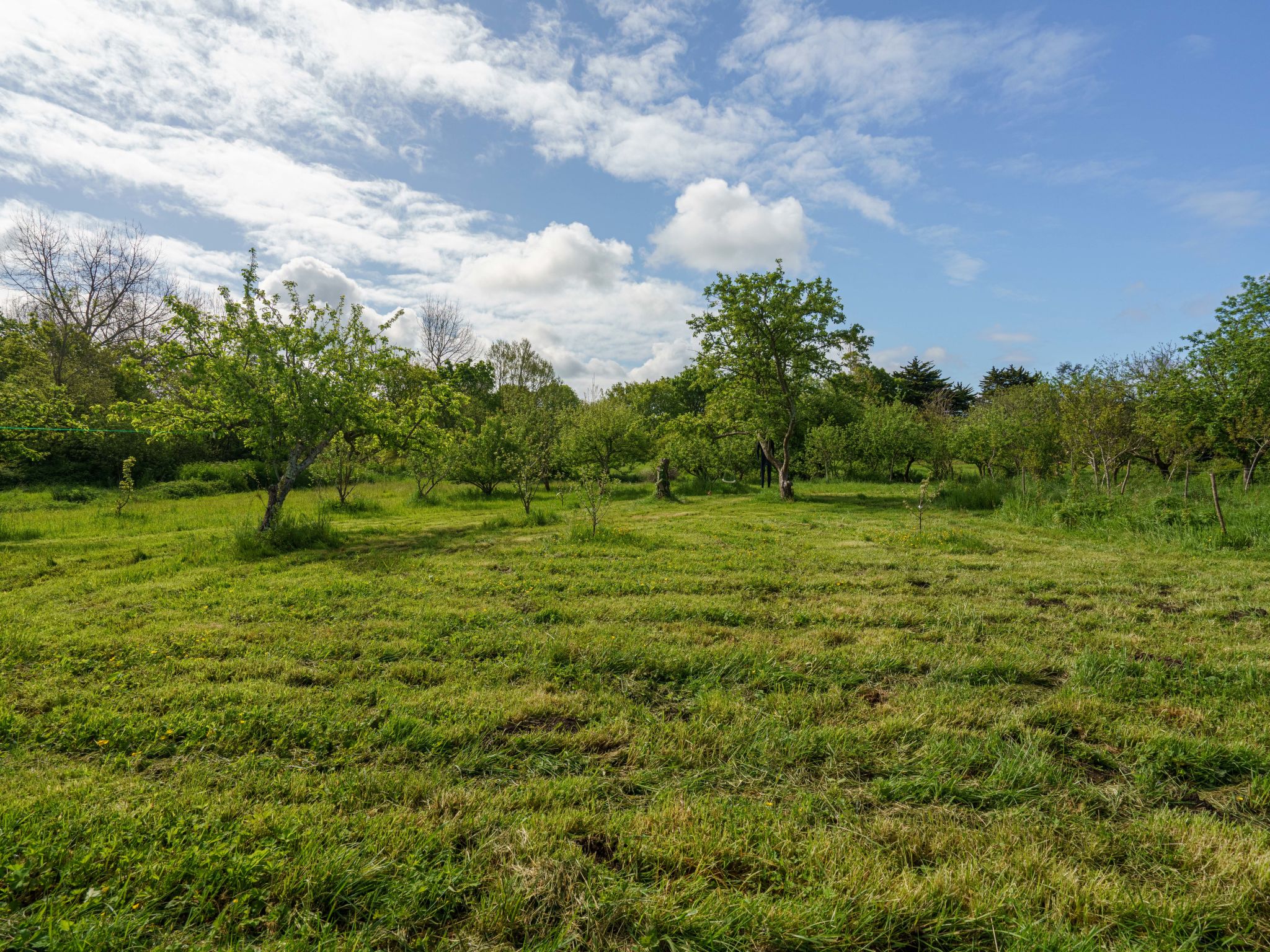 Maison Pen Ilis – Terrasse, photo 16 sur 28
