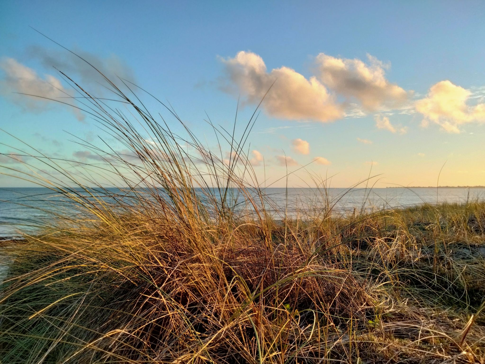 Bretonisches Ferienhaus in Meeresnähe mit Garten — Beach (4 of 7)