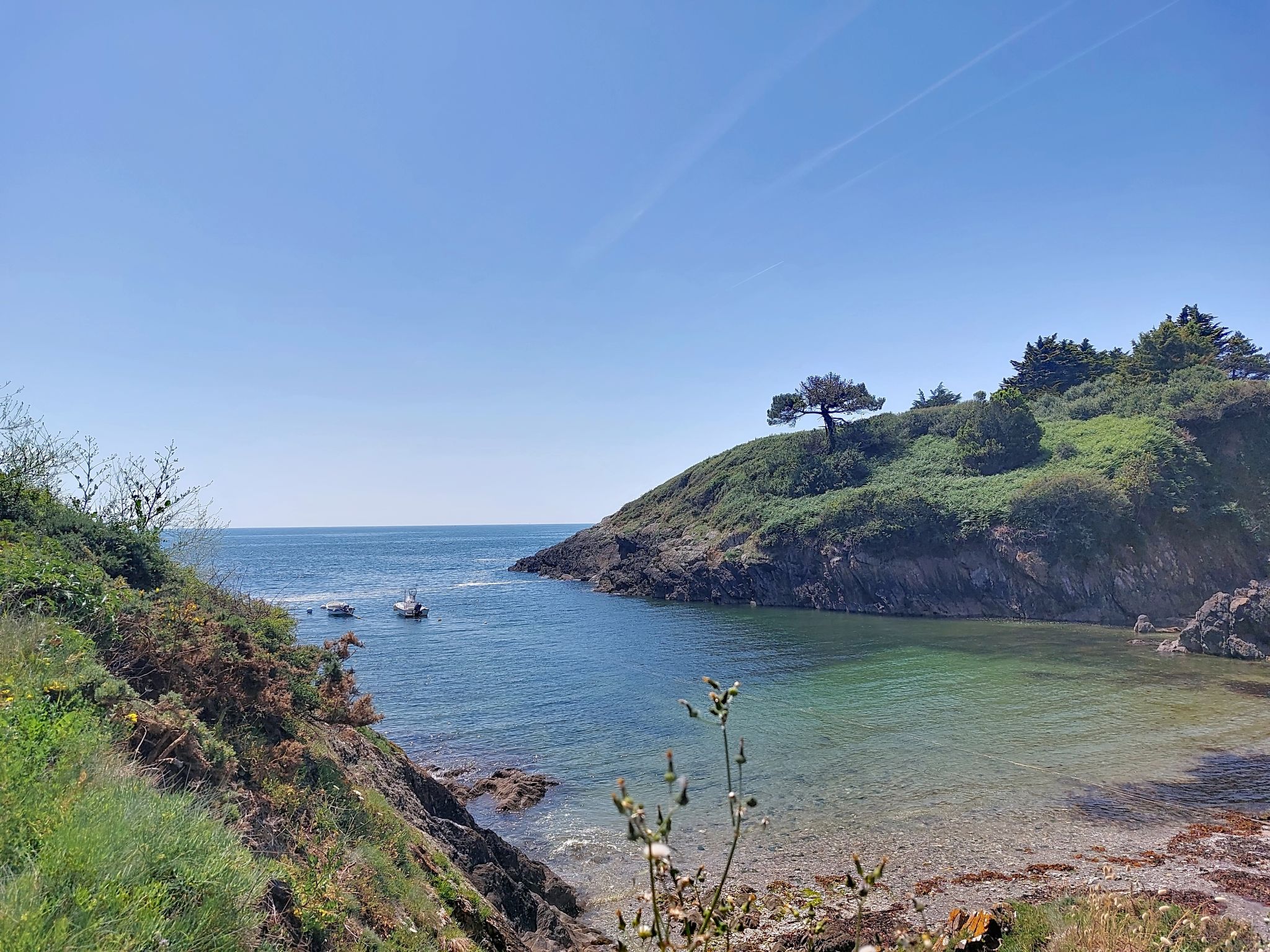 La Sardinerie de la Crique de Porsac'h - Buiten