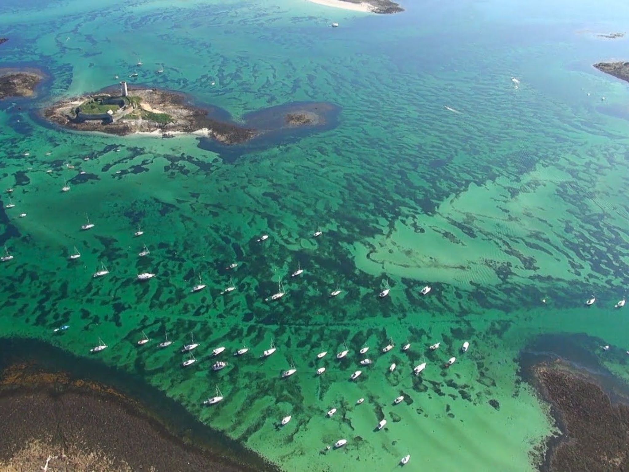 Prächtige Villa mit exotischem Garten, Strand 200m entfernt-Dehors