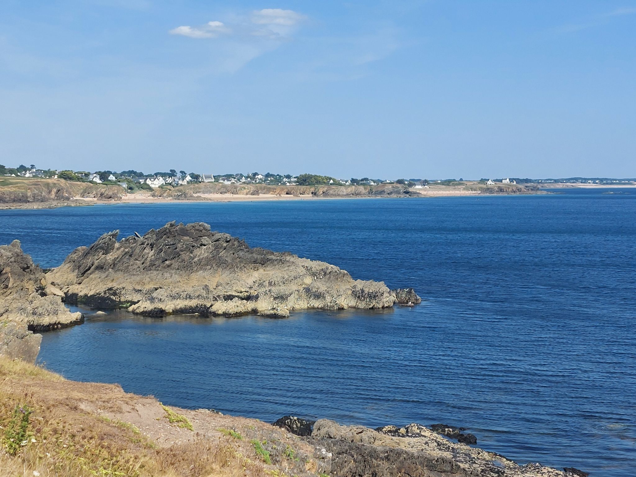 Hortensias 2 - Omgeving