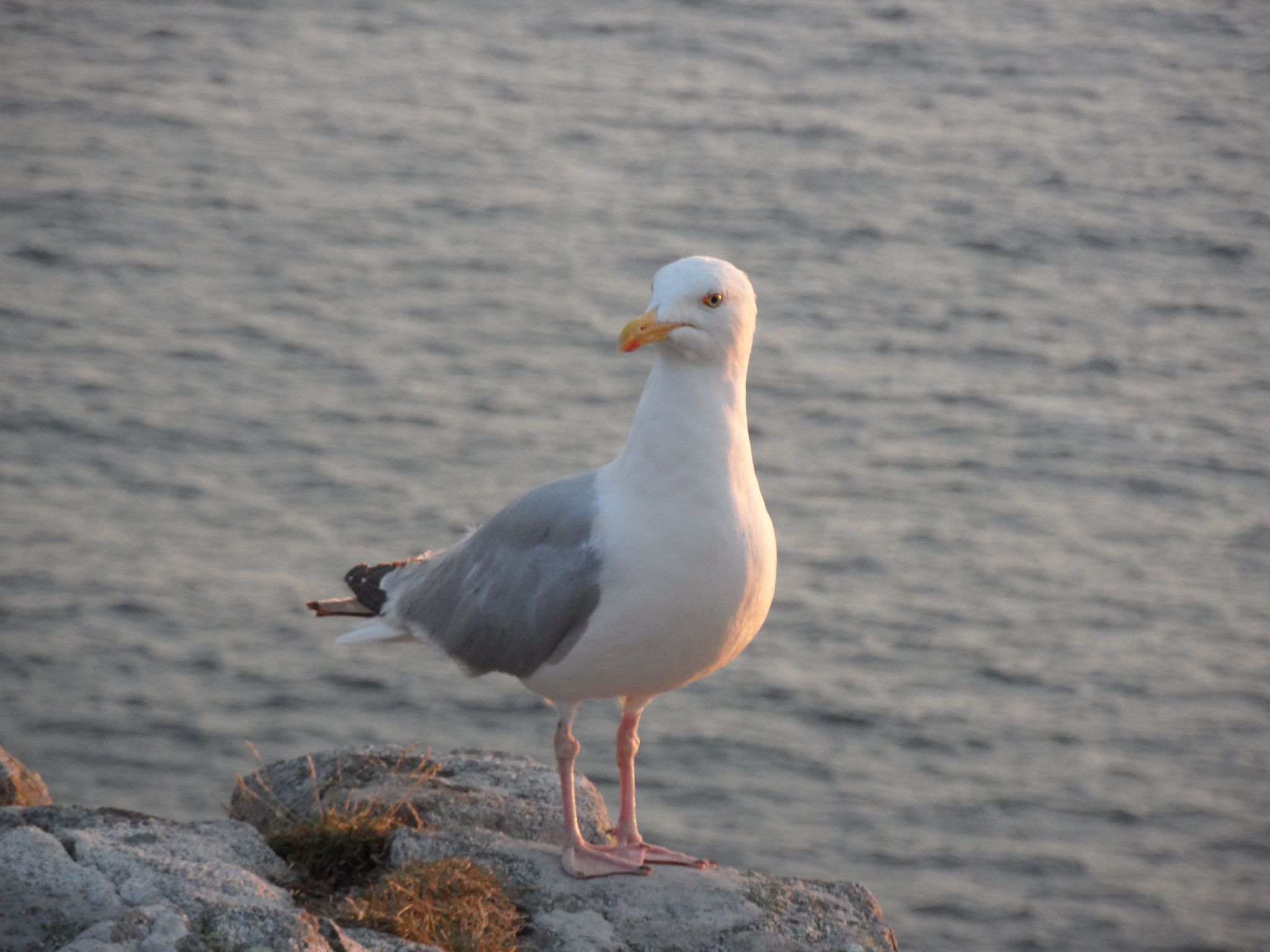 Unterkunft in der Mitte-Binnen