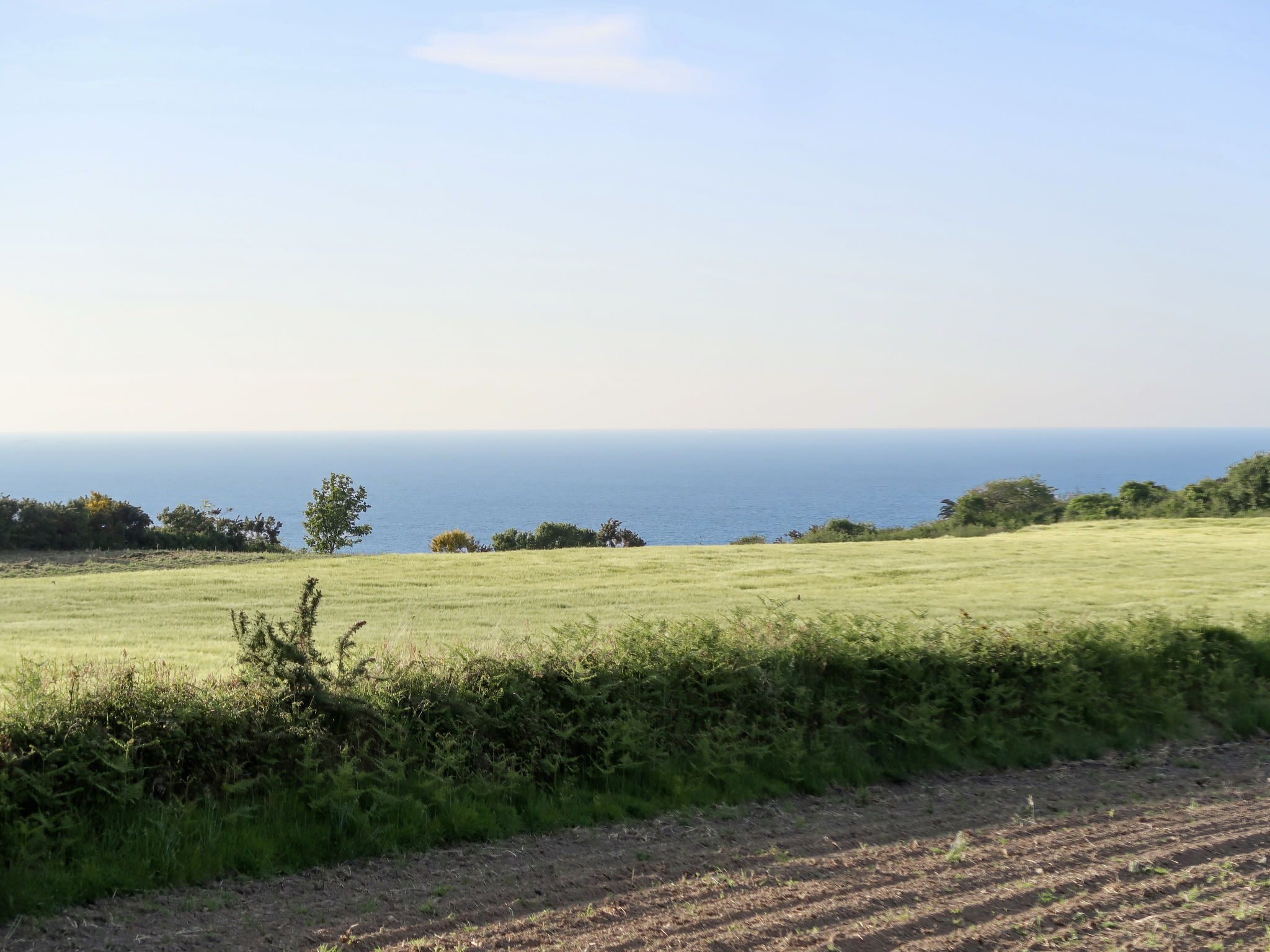 Photo of La Belle Vue