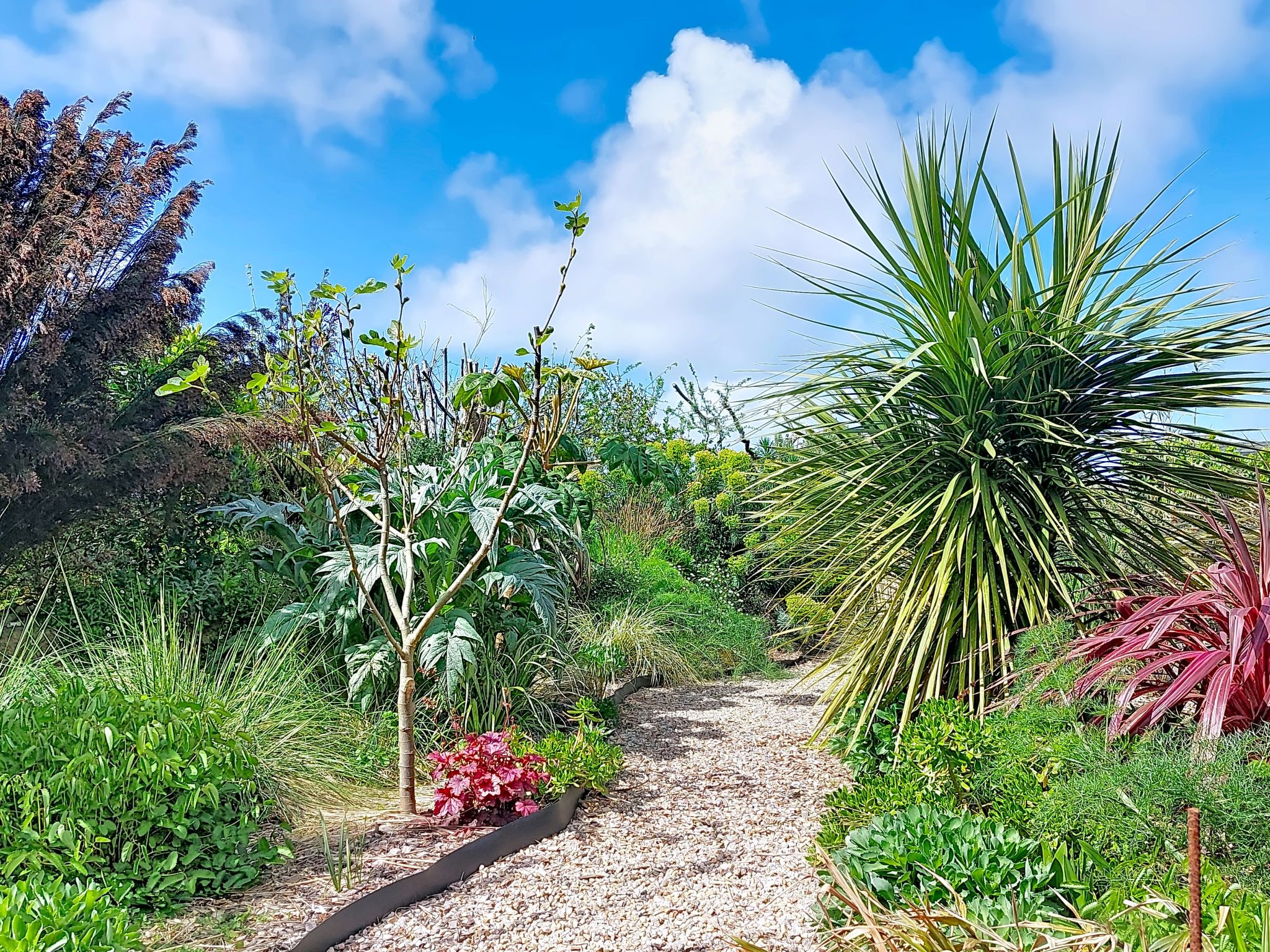 Photo of La Villa Agapanthes