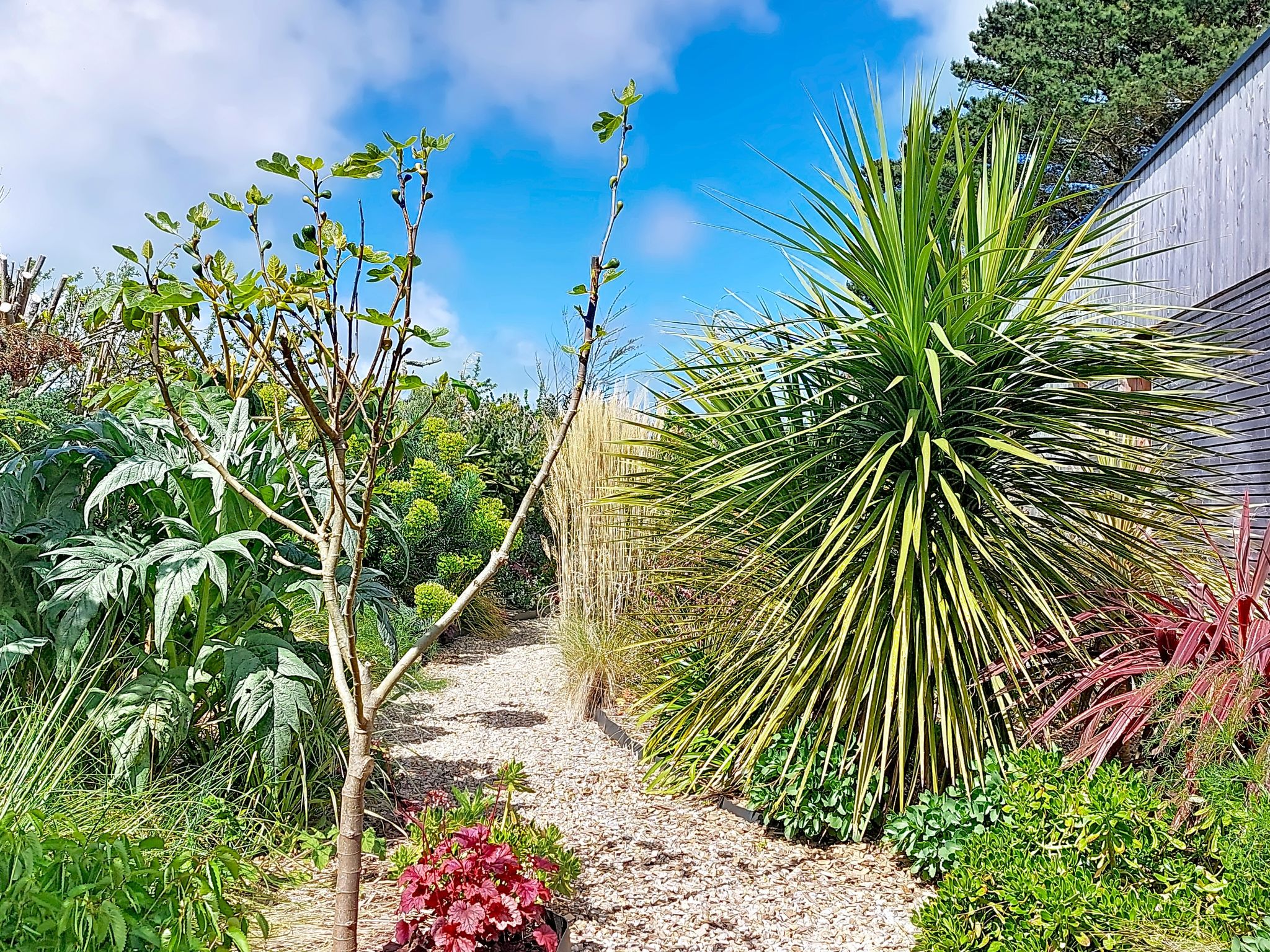 Photo of La Villa Agapanthes