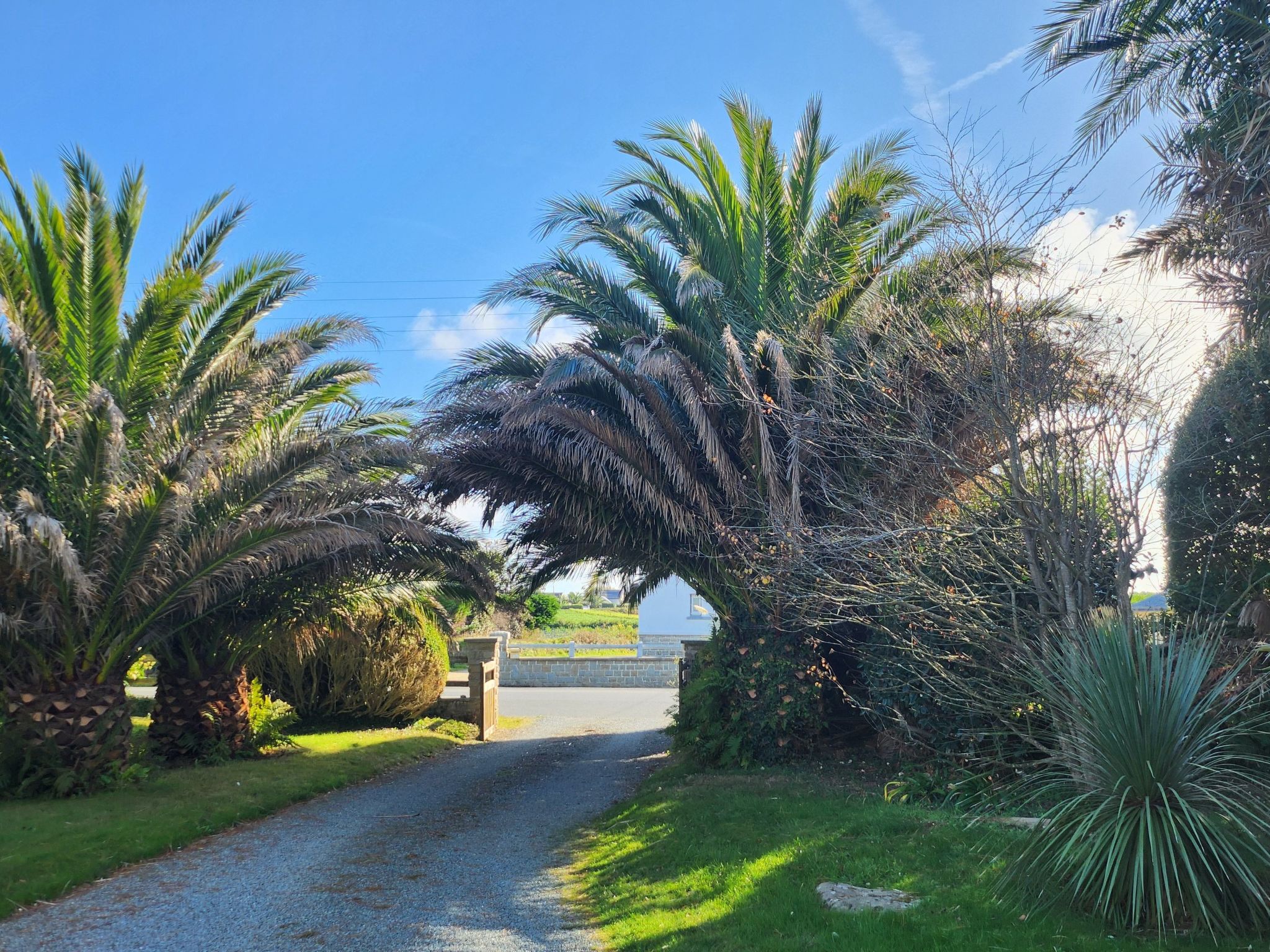 Photo of mit Blick auf das Wasser