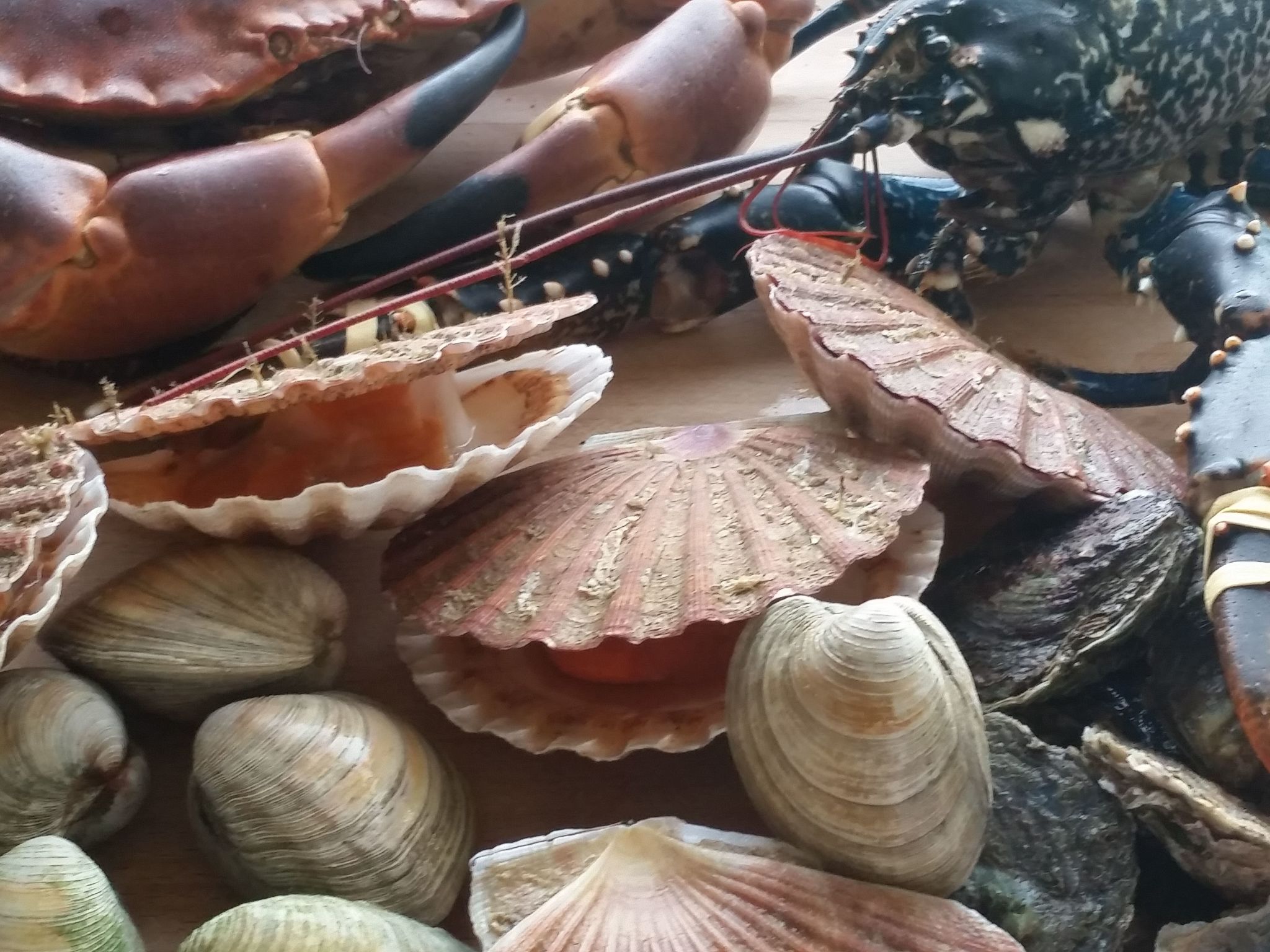 Villa Bellevue-Binnen