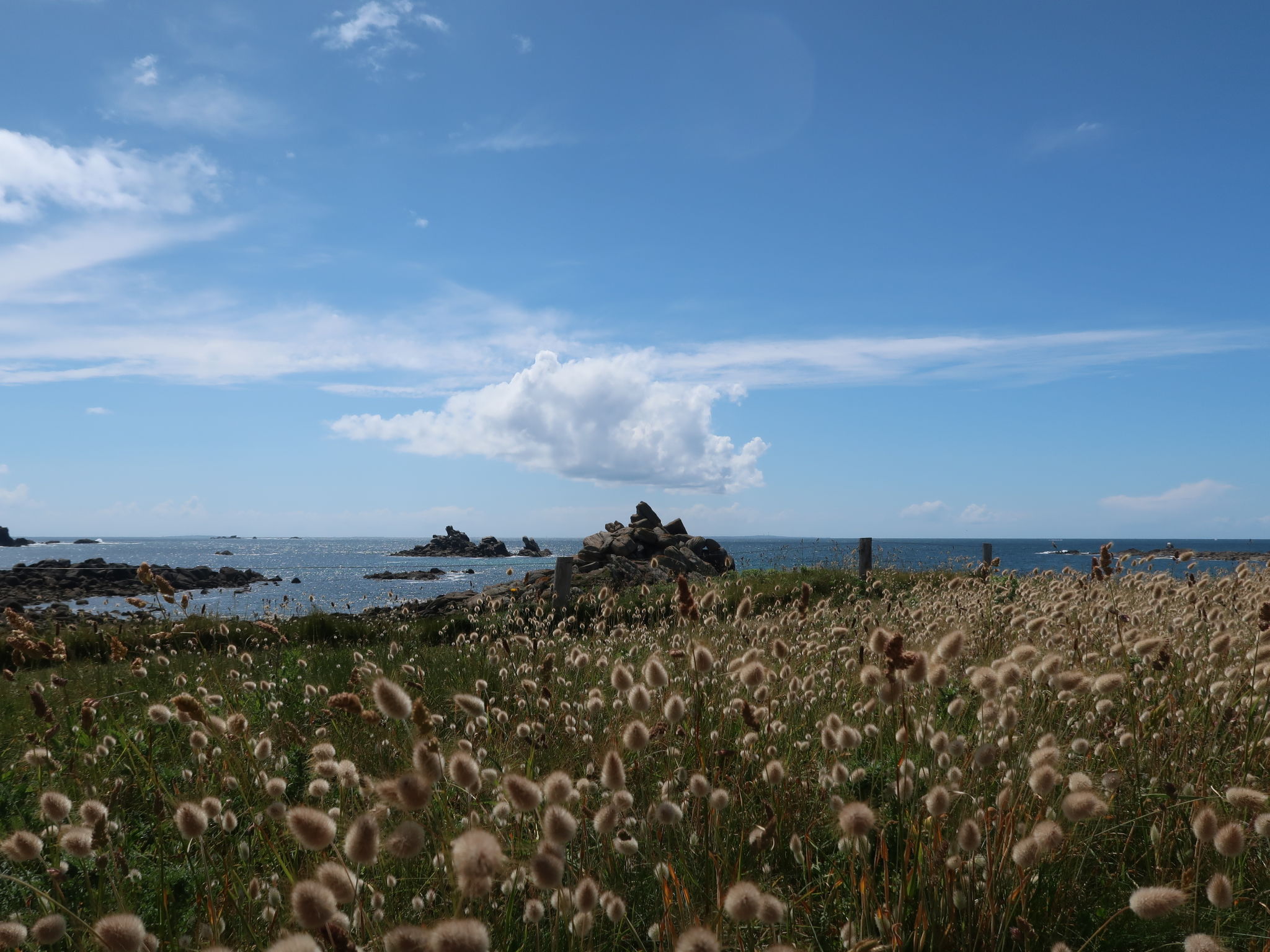 Maison Capucine – Plage, photo 25 sur 28