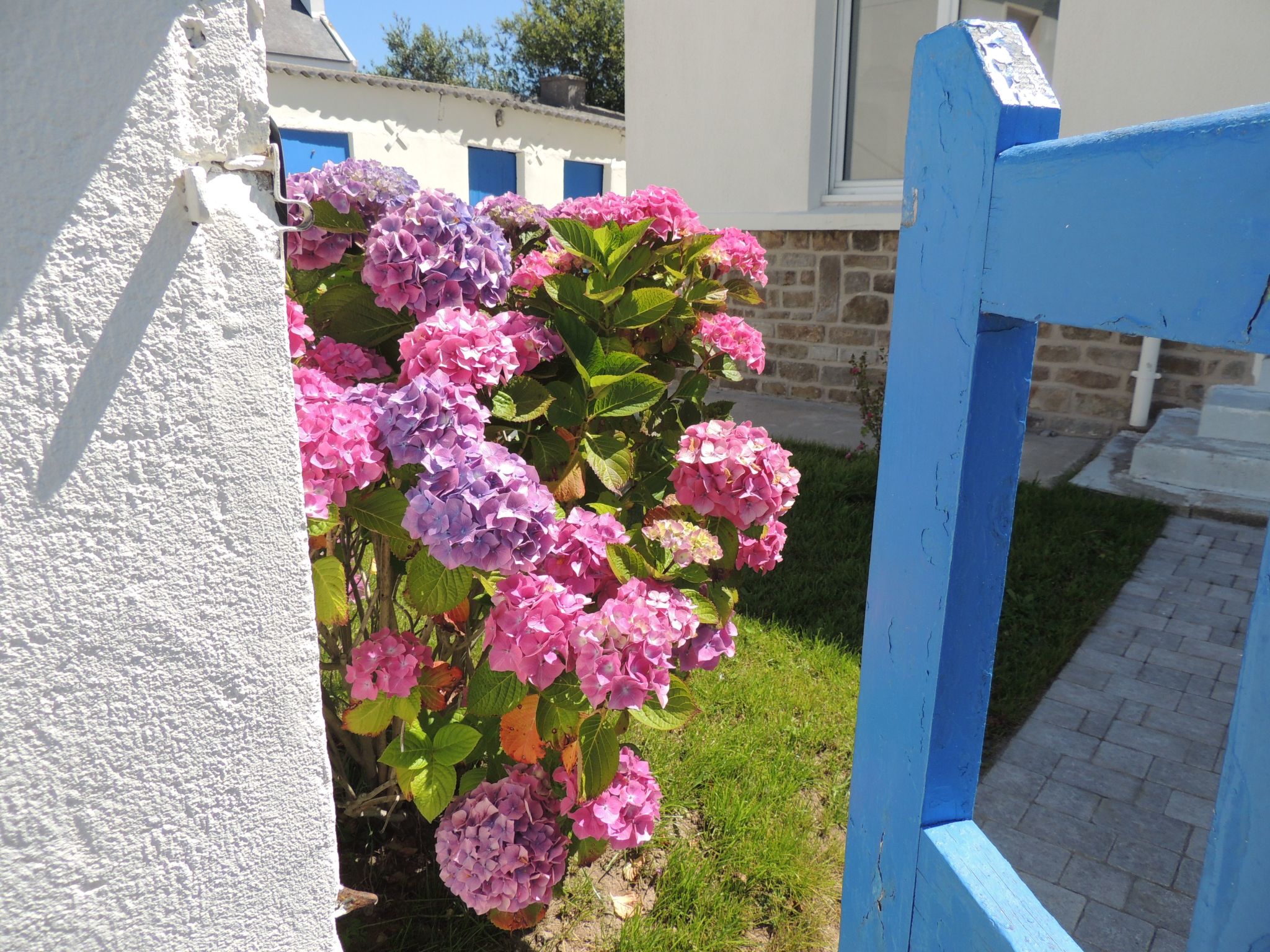 Charmantes Haus mit Garten, 200m vom Strand entfernt-Buiten
