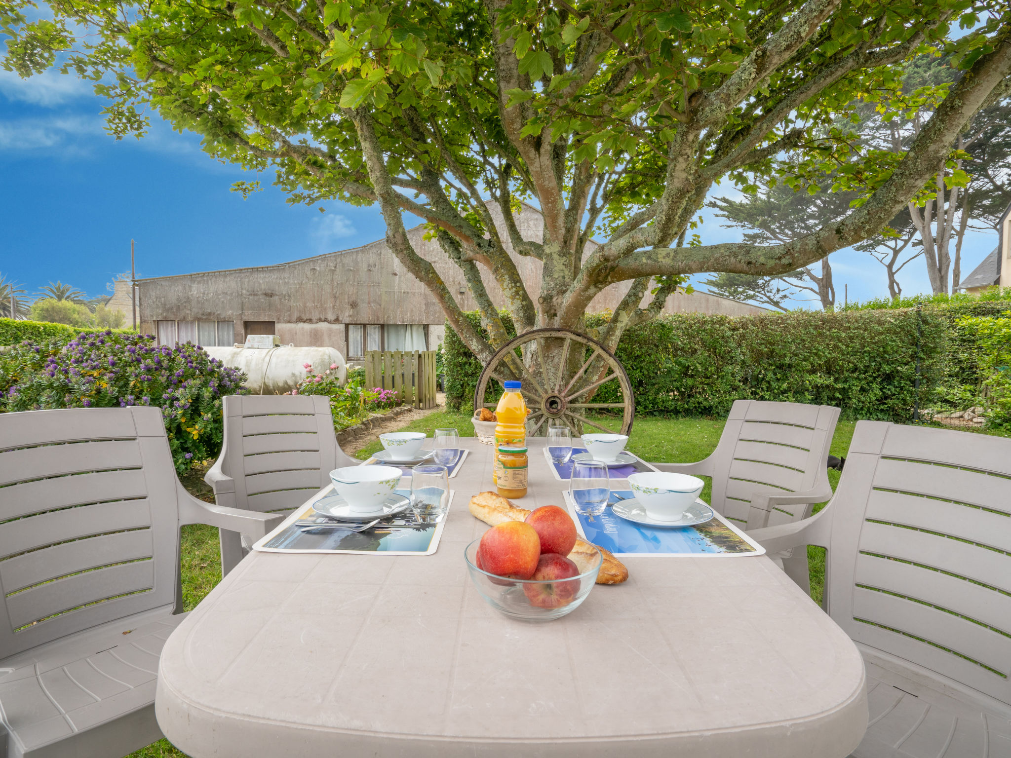 Appartement Les Chardons Bleus 1 – Terrasse, photo 23 sur 35