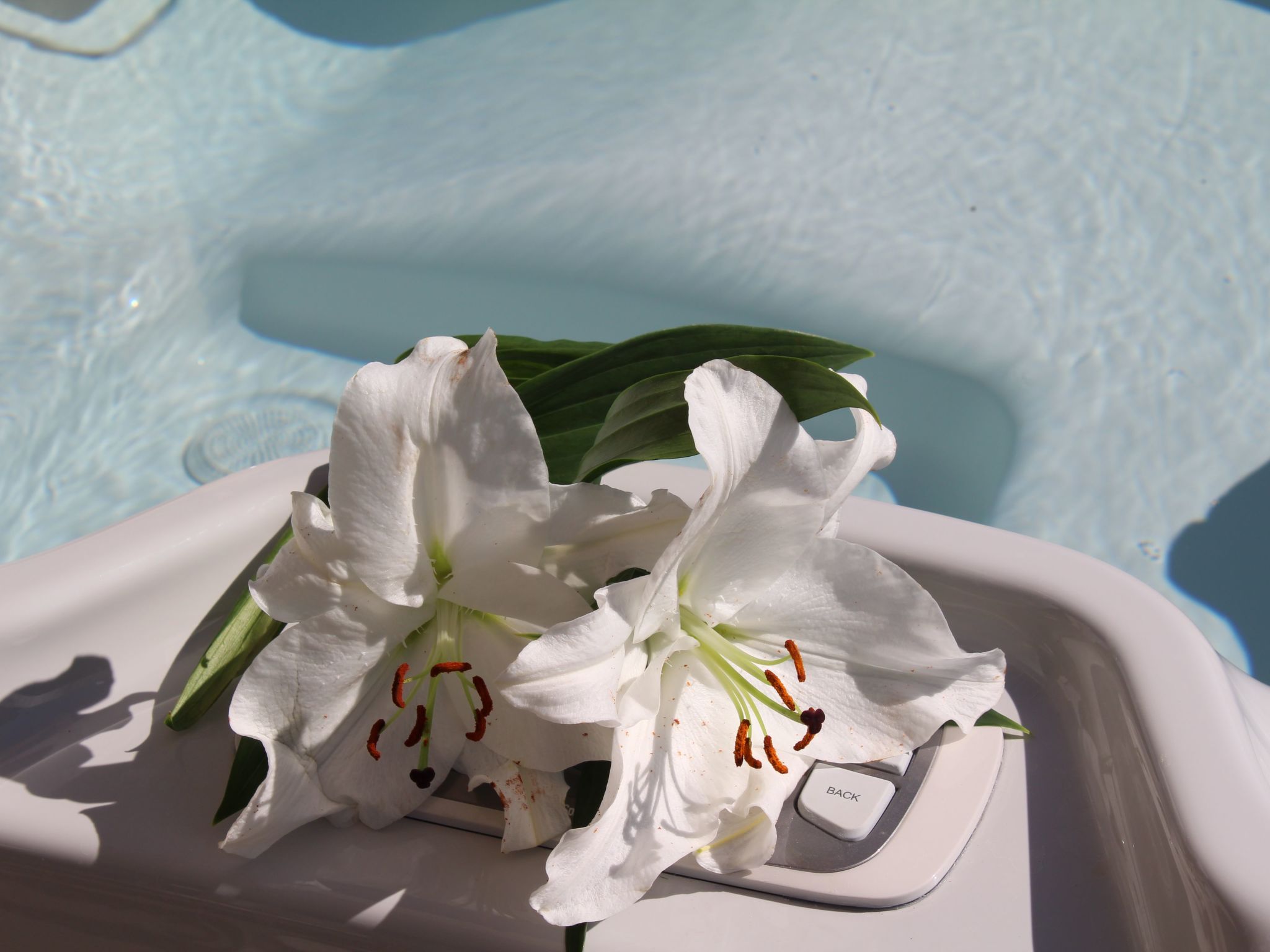 Villa du Port-Binnen