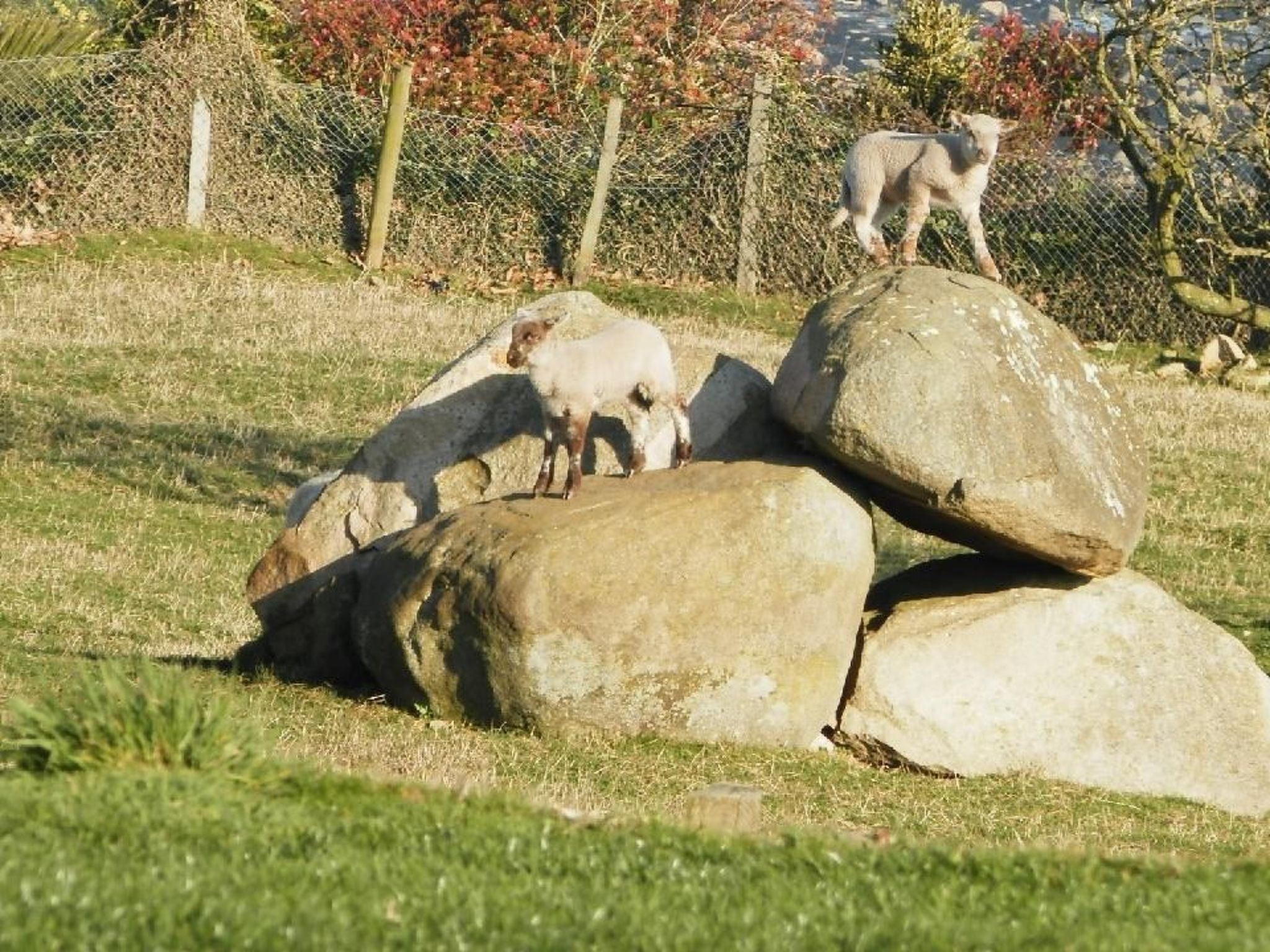 "Tromeal Lasalle" blick auf das Meer. Mit 4 Sternen klassifiziert-Outside