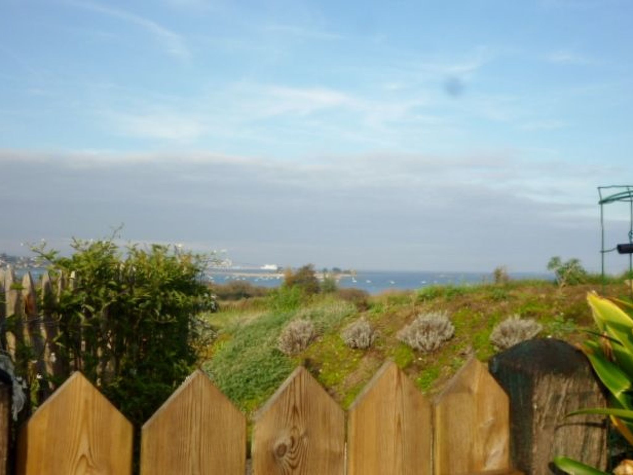 "Ty Saoson" mit Blick auf das Wasser-Image-tags.info