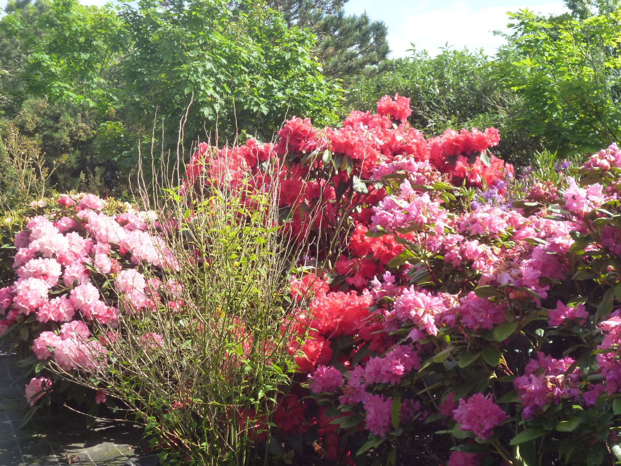 "Ty Saoson" mit Blick auf das Wasser-Image-tags.info