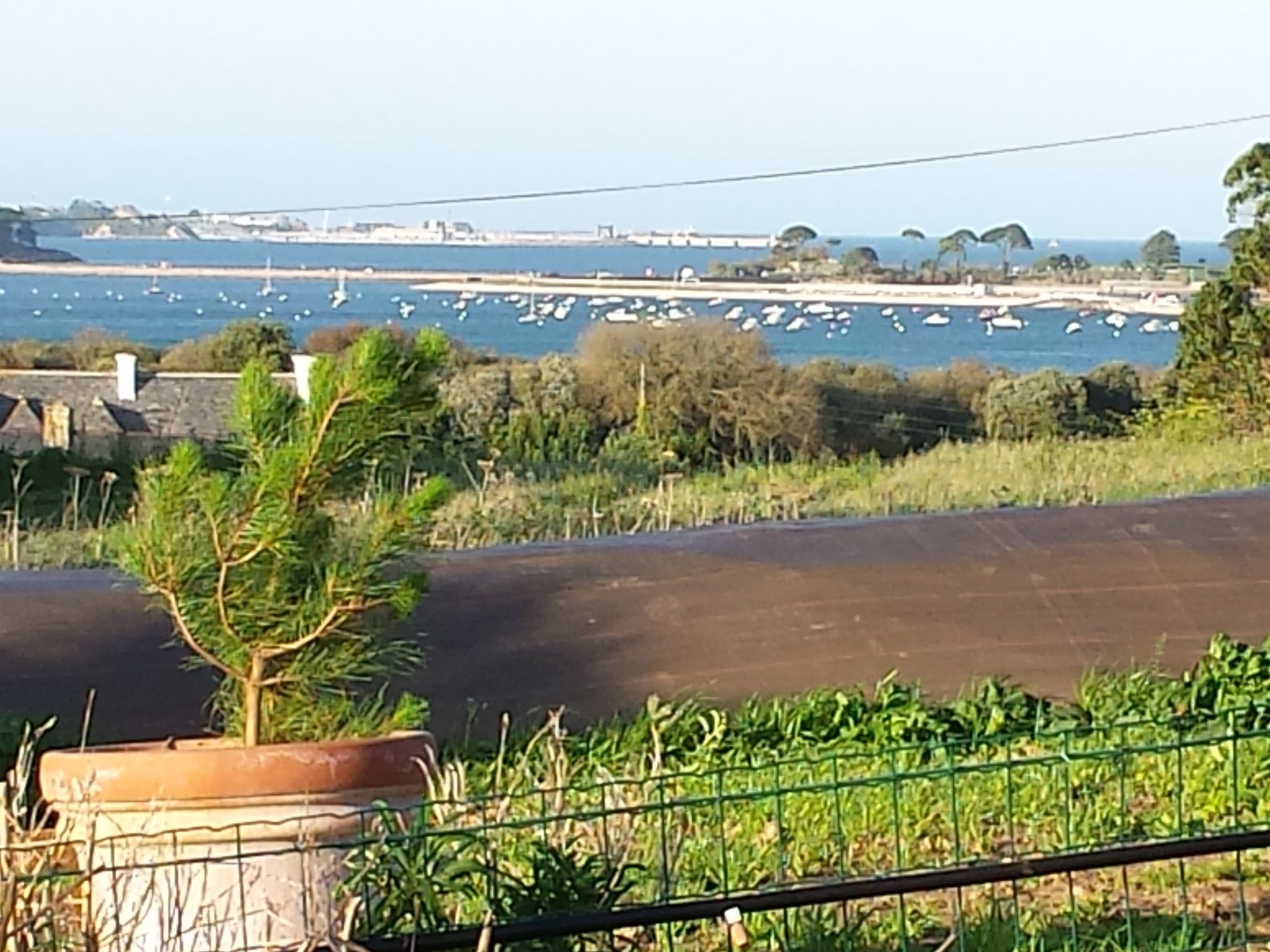 "Ty Saoson" mit Blick auf das Wasser-Image-tags.info