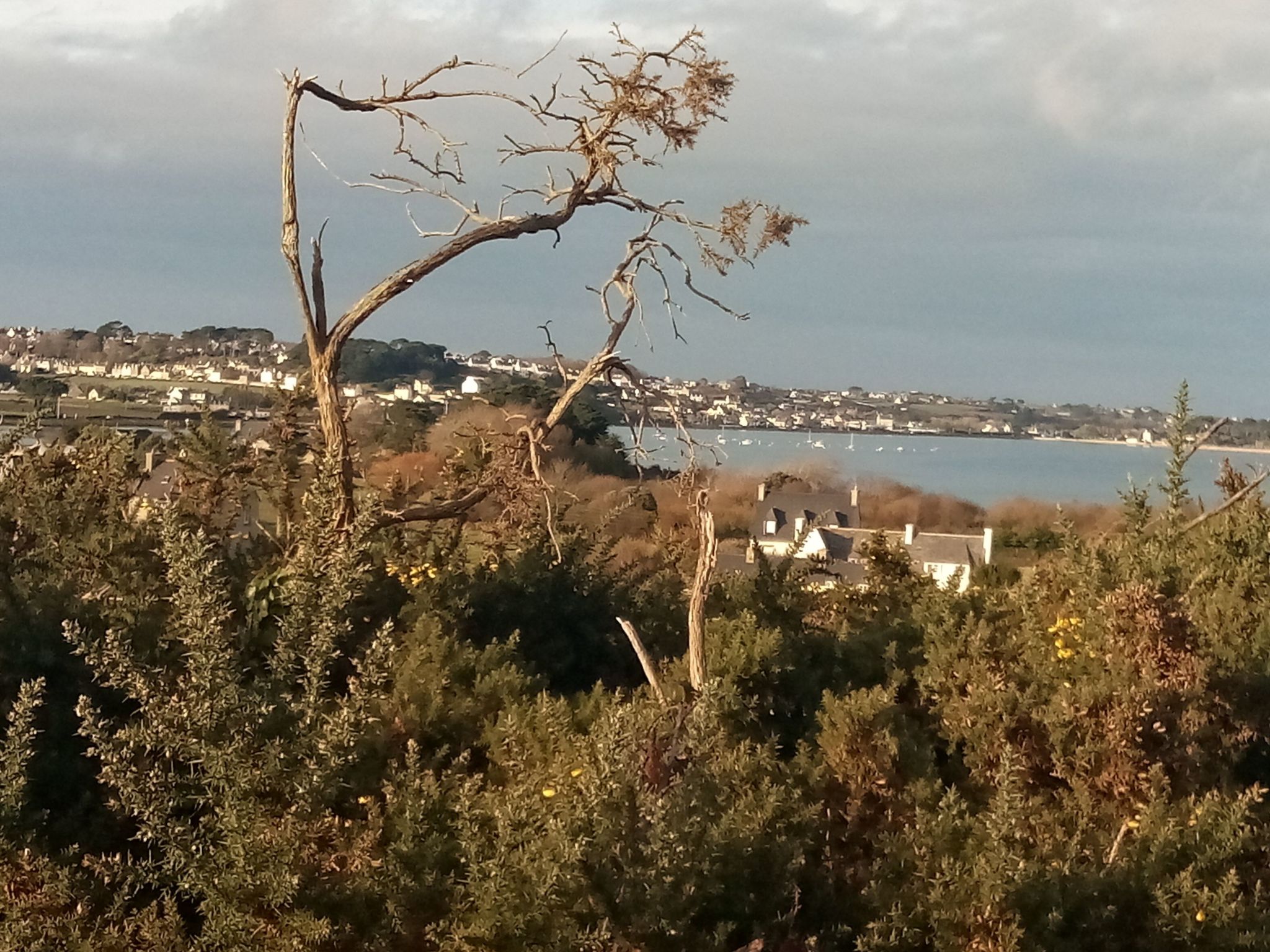 "Ty Saoson" mit Blick auf das Wasser-Image-tags.info