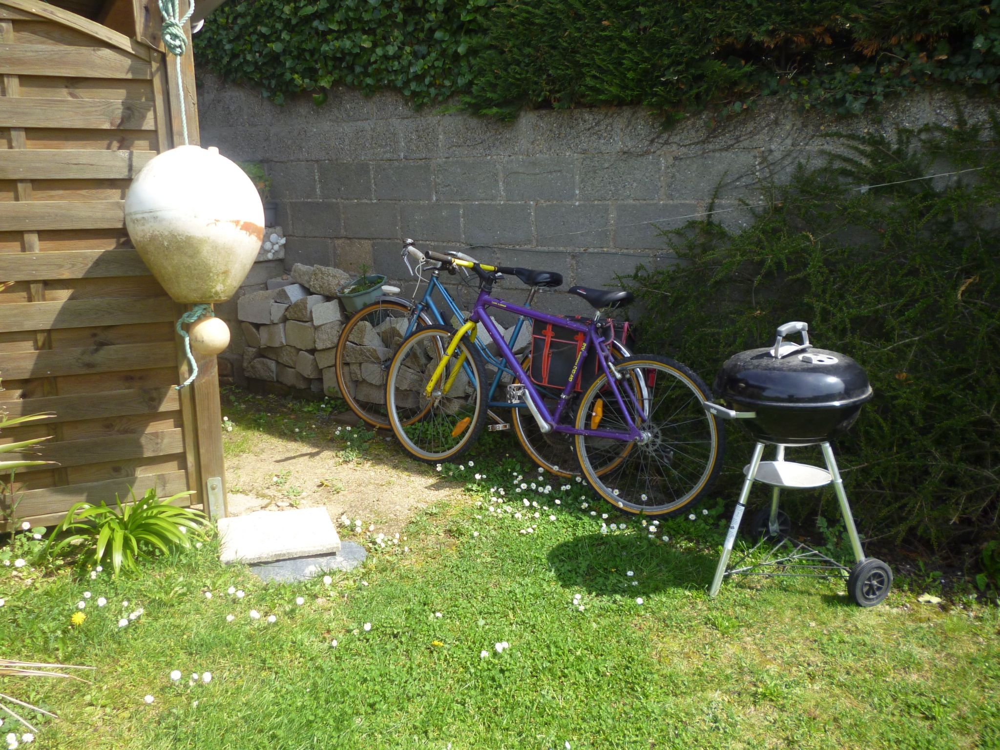 "Ty Saoson" mit Blick auf das Wasser-Image-tags.info