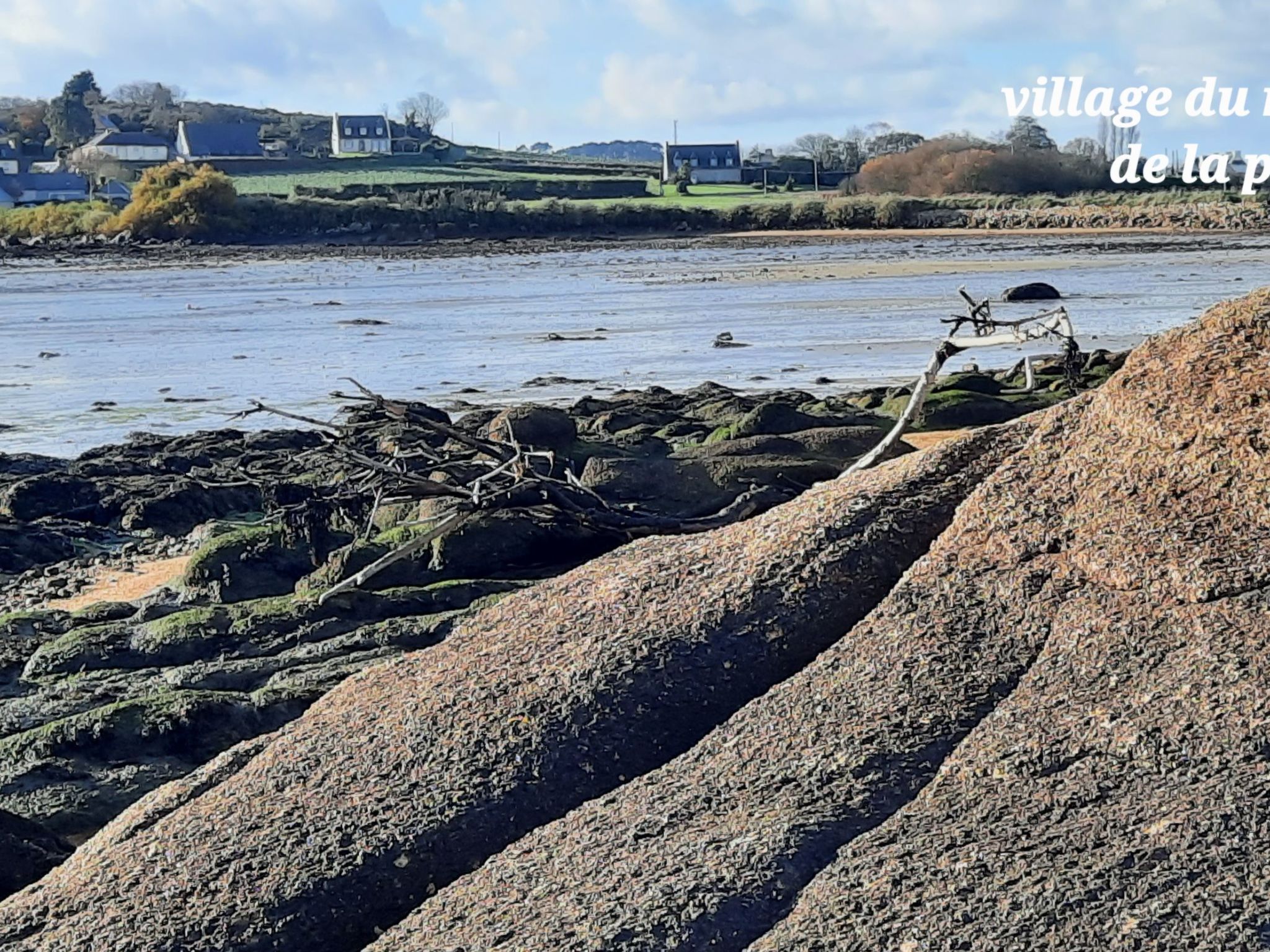 "Ty Saoson" mit Blick auf das Wasser-Image-tags.info