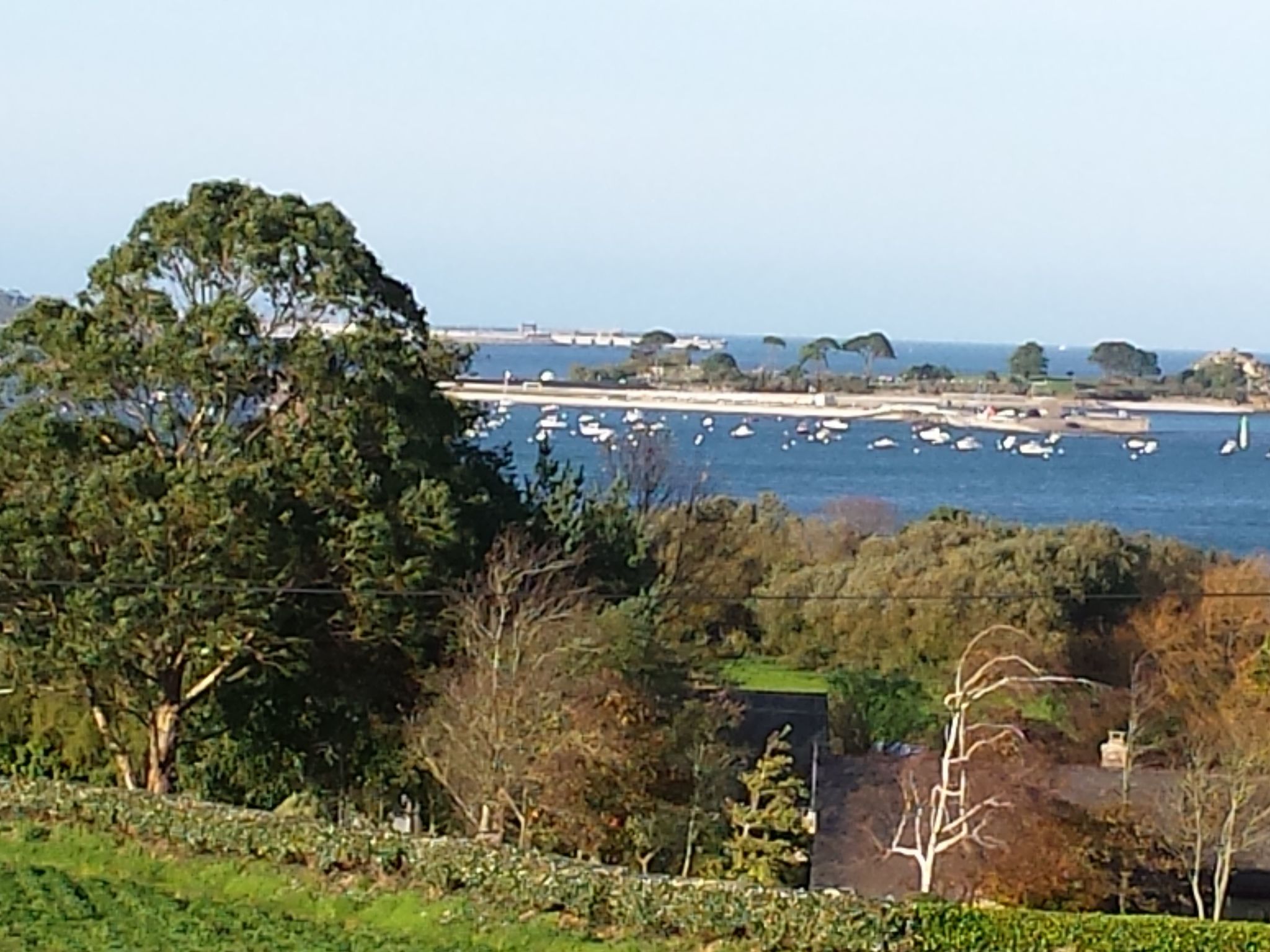 Die Ruhe des Landes am Meer in einer Region mit Gemüseanbau-Image-tags.info