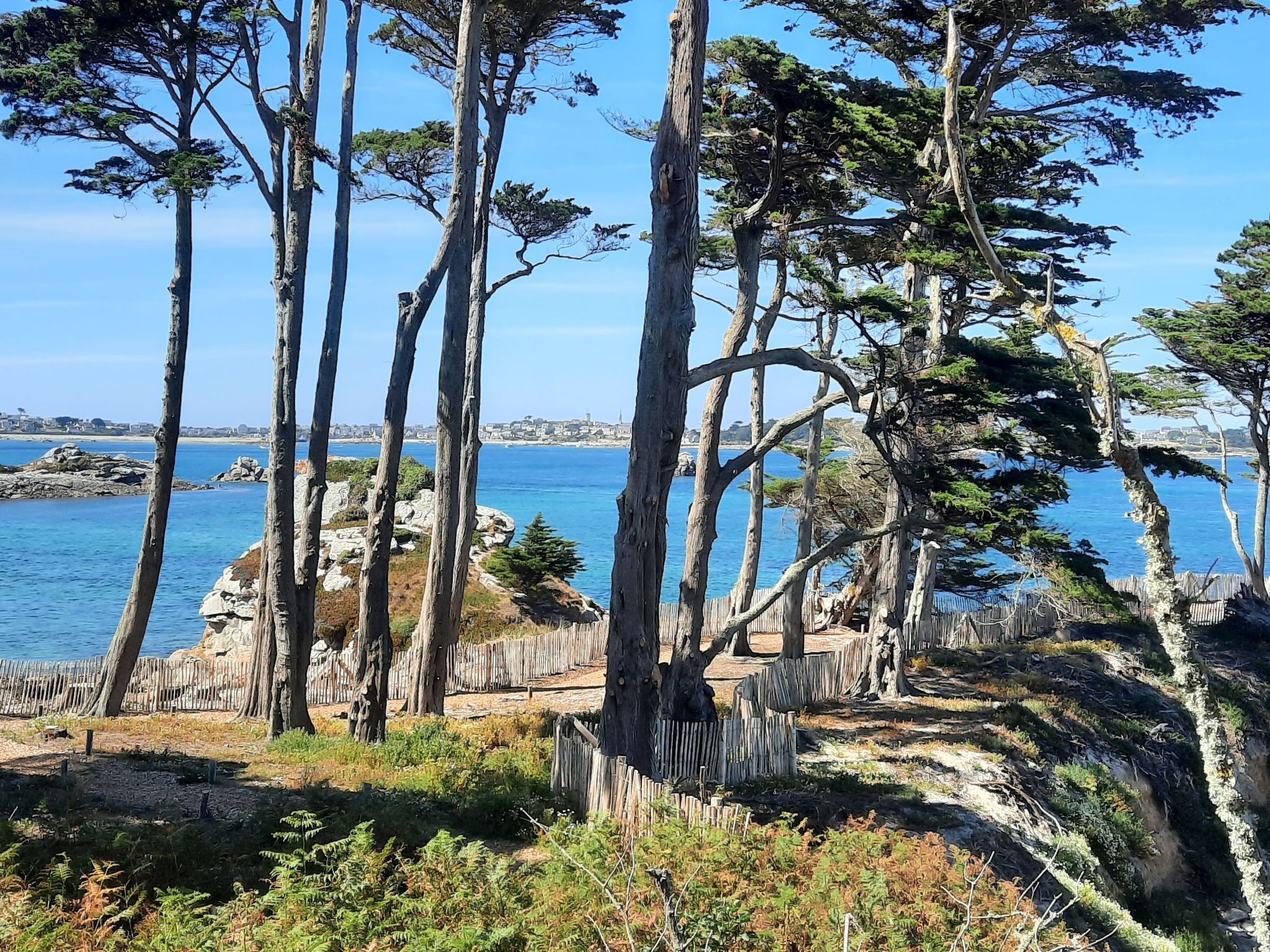 Die Ruhe des Landes am Meer in einer Region mit Gemüseanbau-Image-tags.info