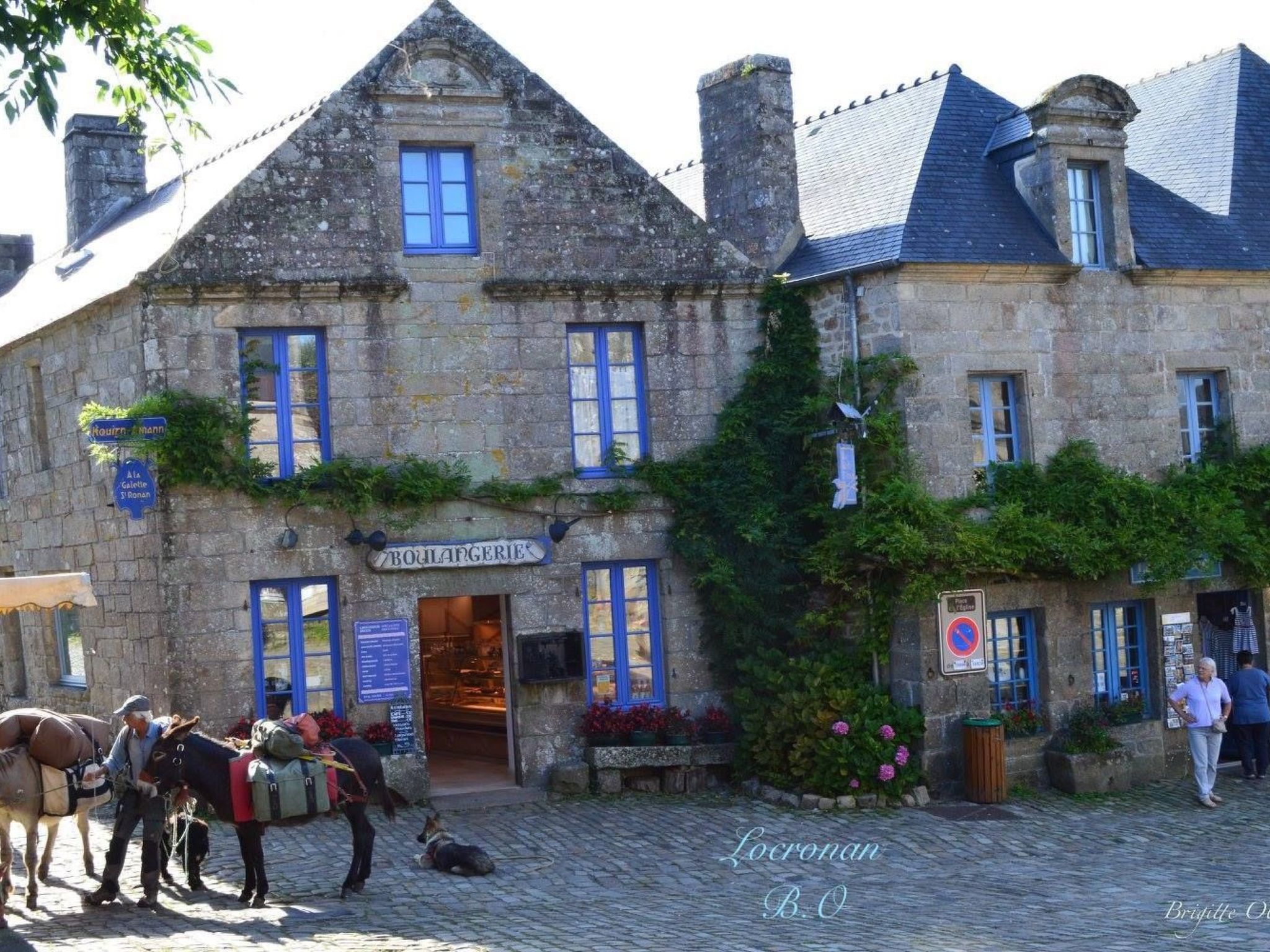 Ferienhaus-Image-tags.info